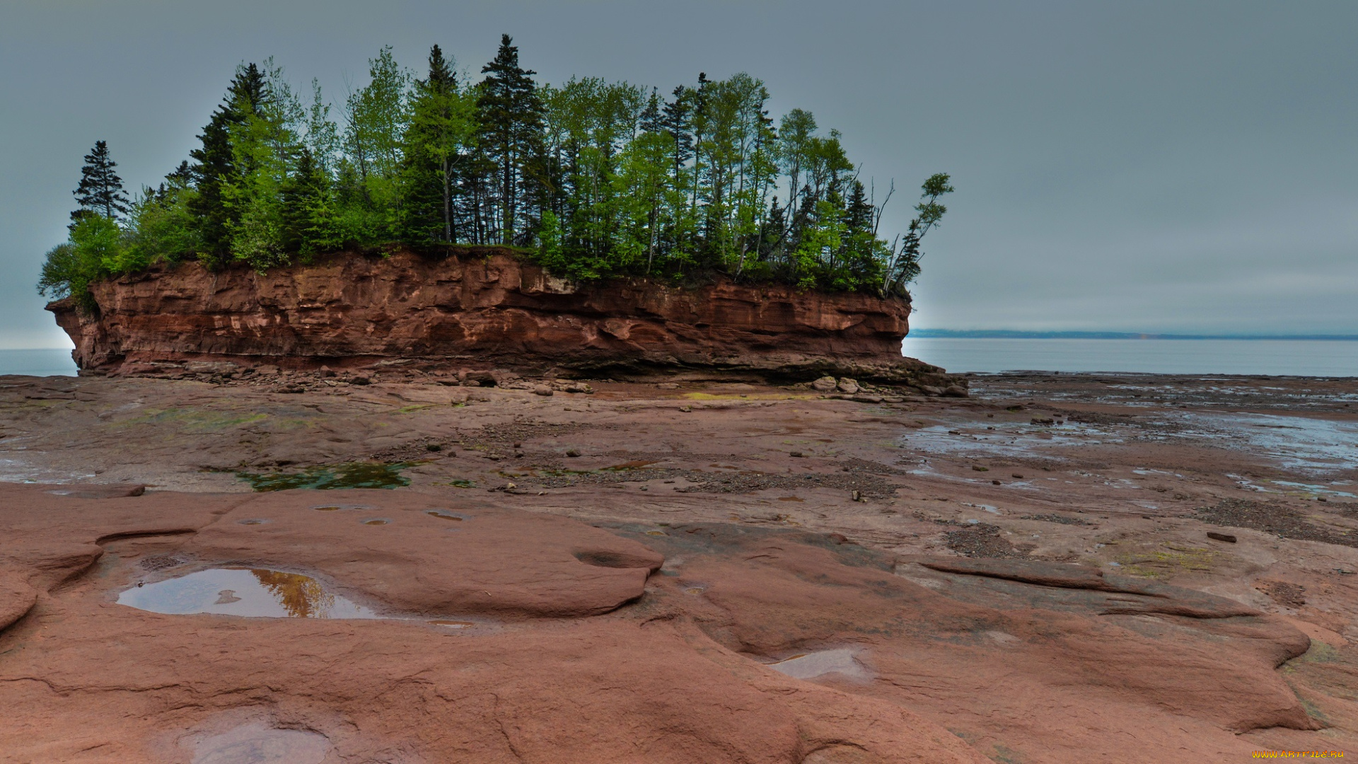 природа, побережье