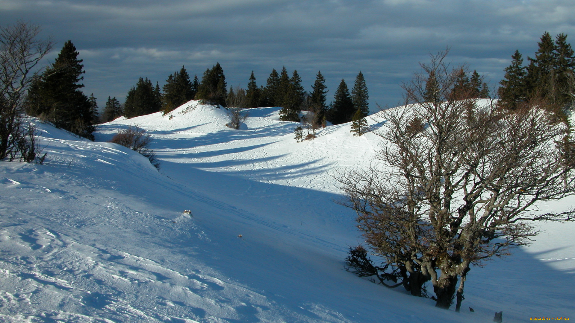 природа, зима