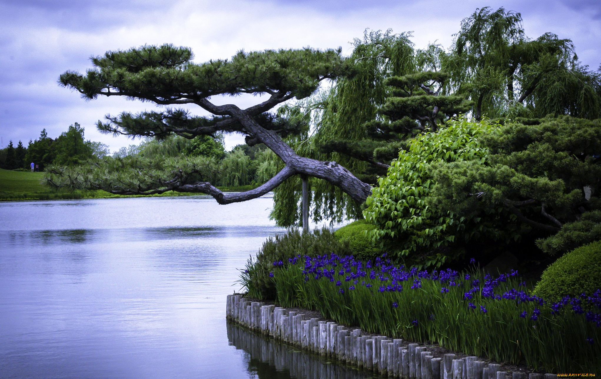 природа, парк