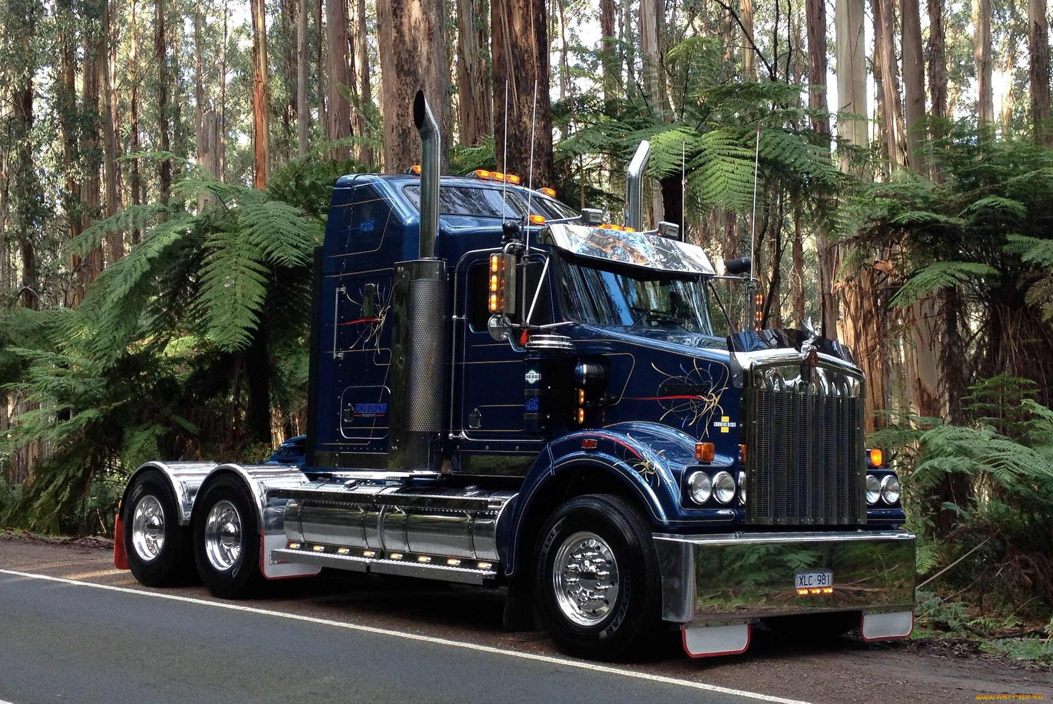 kenworth, автомобили, грузовые, сша, truck, company, автобусы