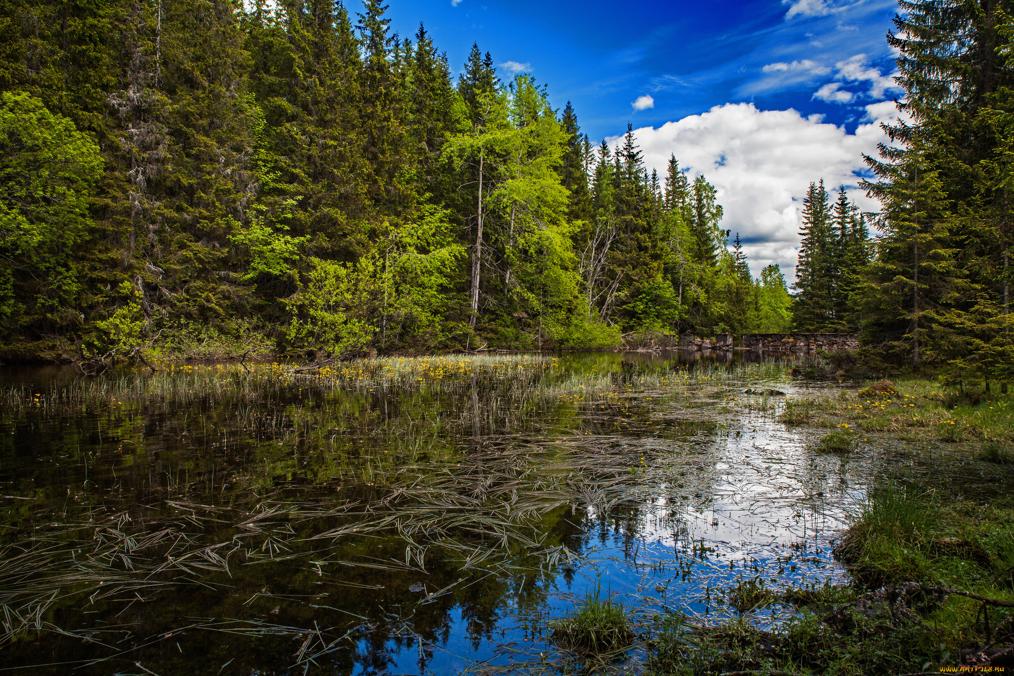 природа, реки, озера