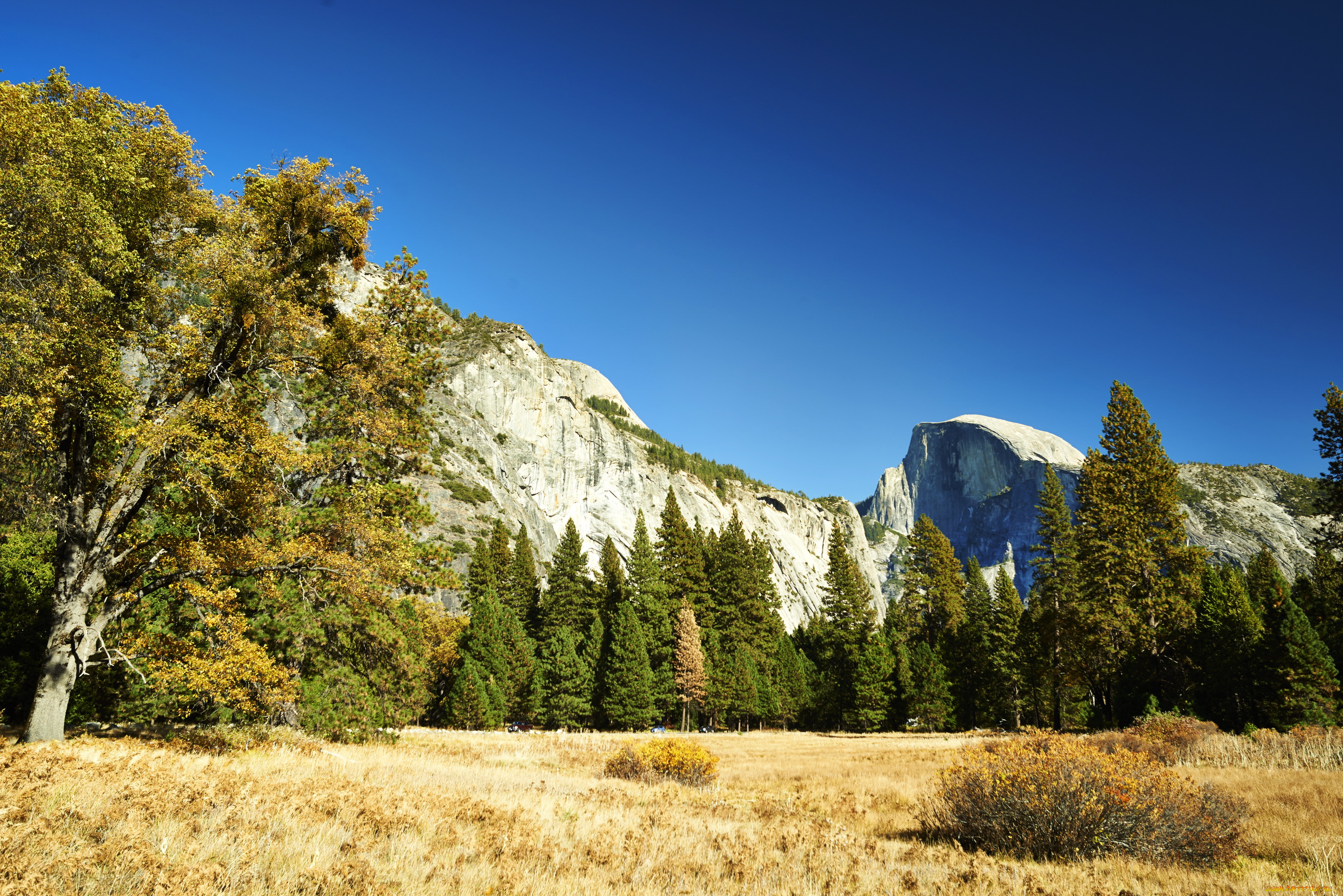 california, , , , yosemite, national, park, природа, горы