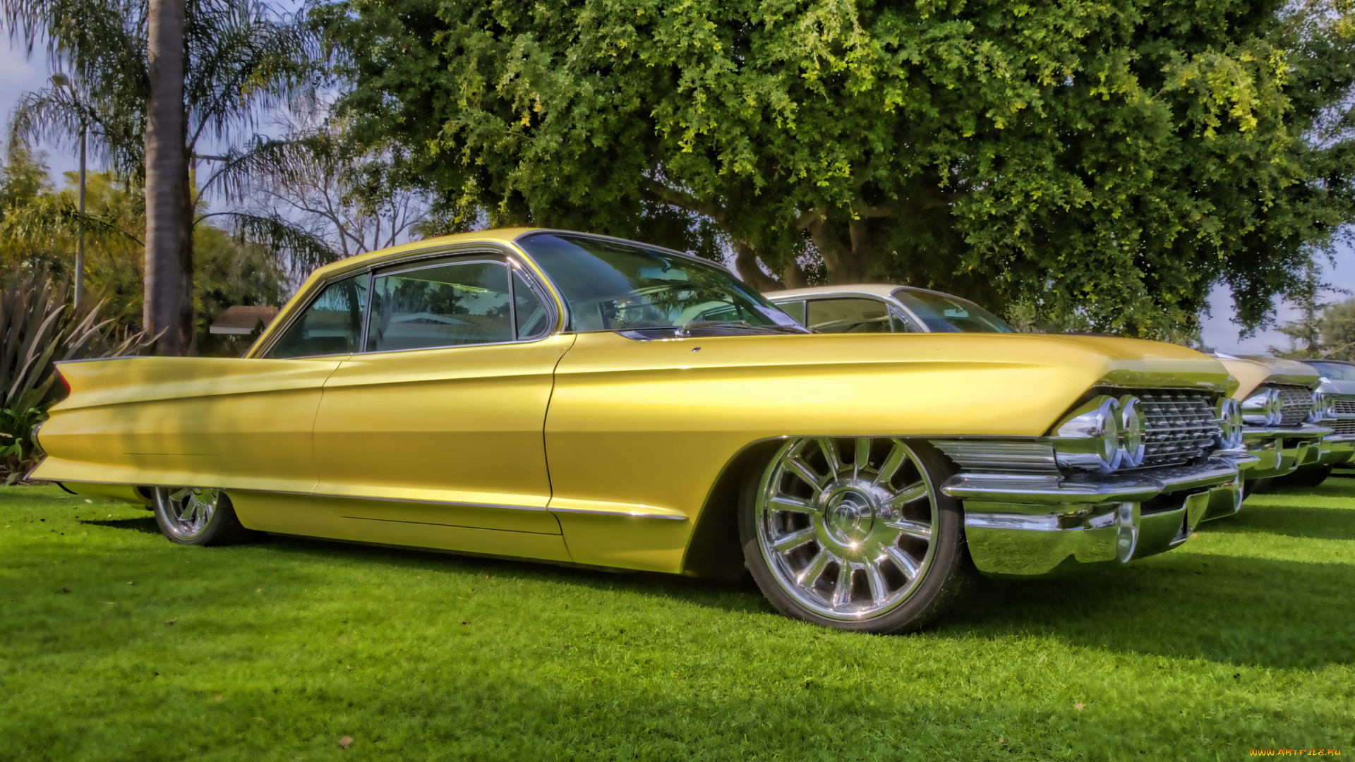 1961, cadillac, coupe, de, ville, автомобили, выставки, и, уличные, фото, выставка, автошоу