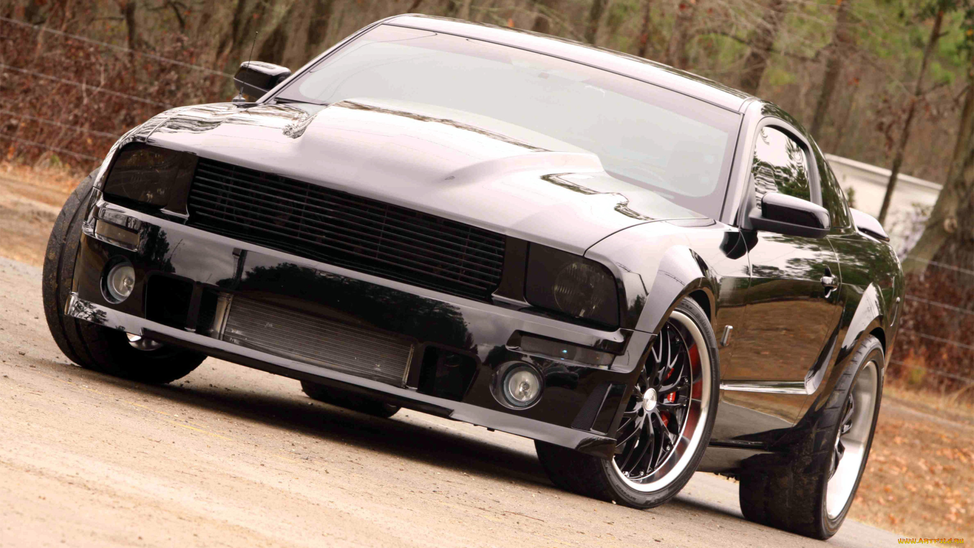 автомобили, mustang