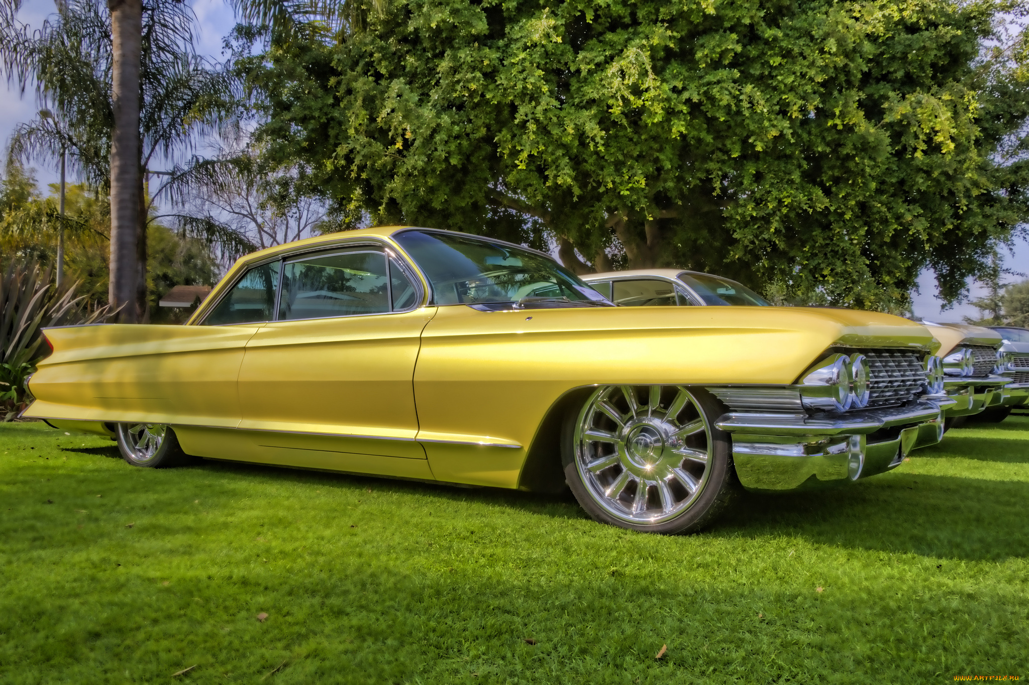 1961, cadillac, coupe, de, ville, автомобили, выставки, и, уличные, фото, выставка, автошоу