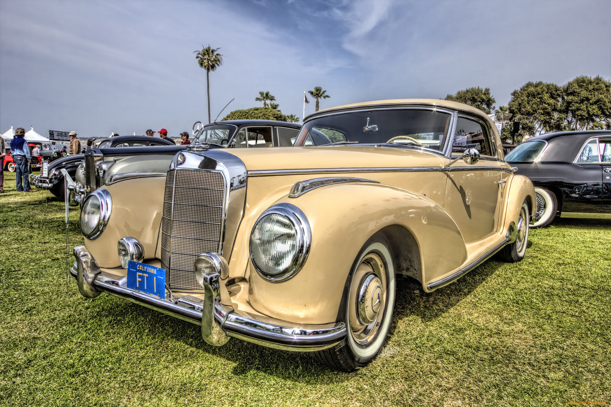 1953, mercedes, benz, 300s, coupe, автомобили, выставки, и, уличные, фото, выставка, автошоу