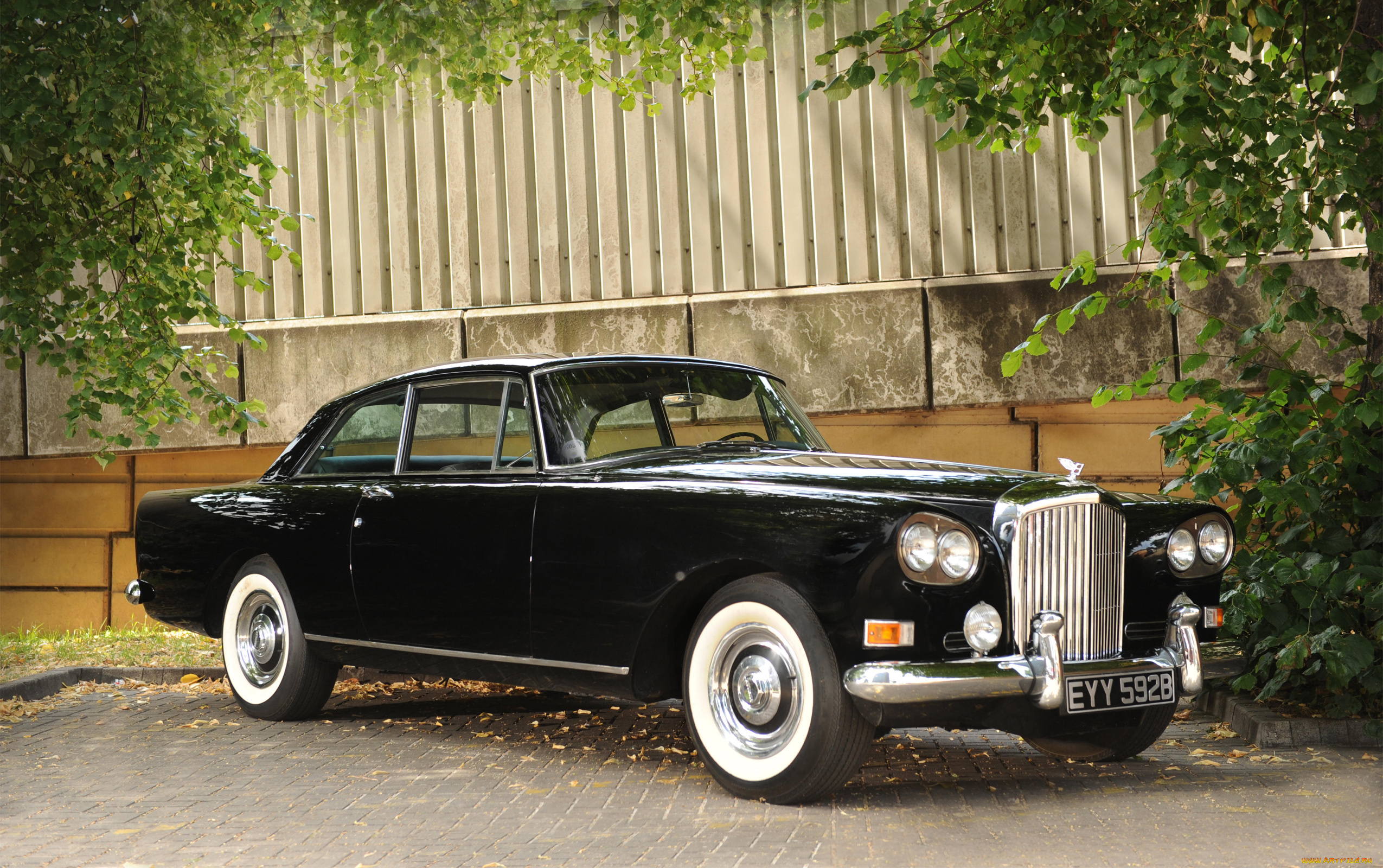 автомобили, bentley