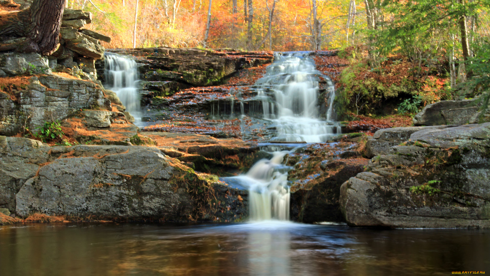 природа, водопады, водопад, река, лес
