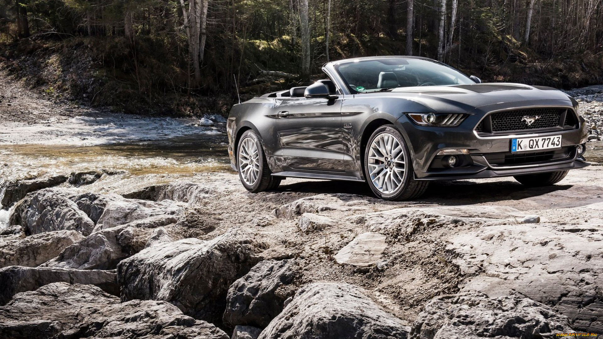 автомобили, mustang