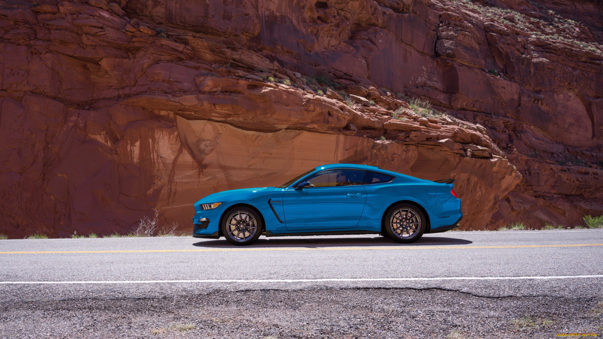 автомобили, mustang, shelby