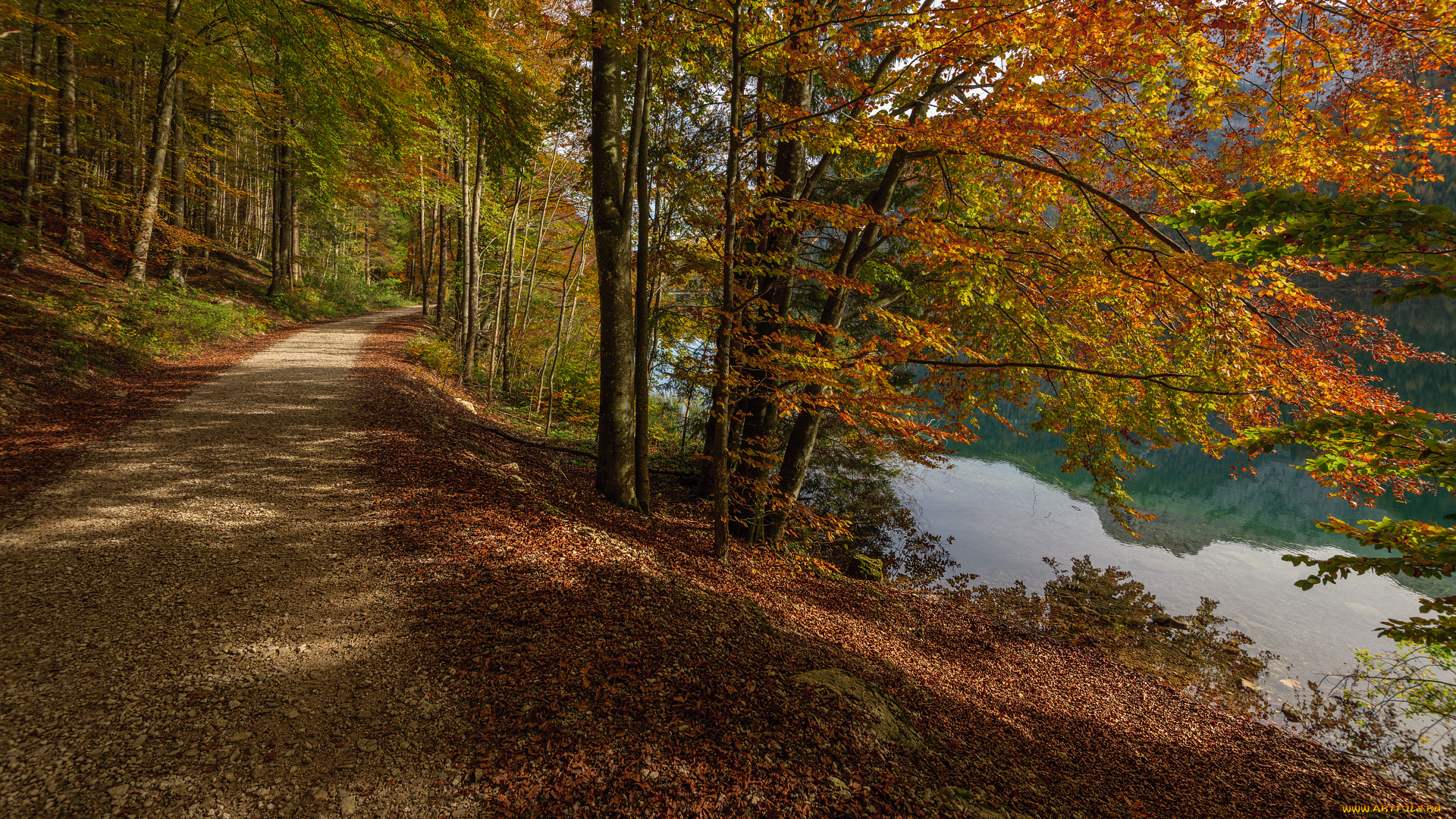 природа, дороги, тракт