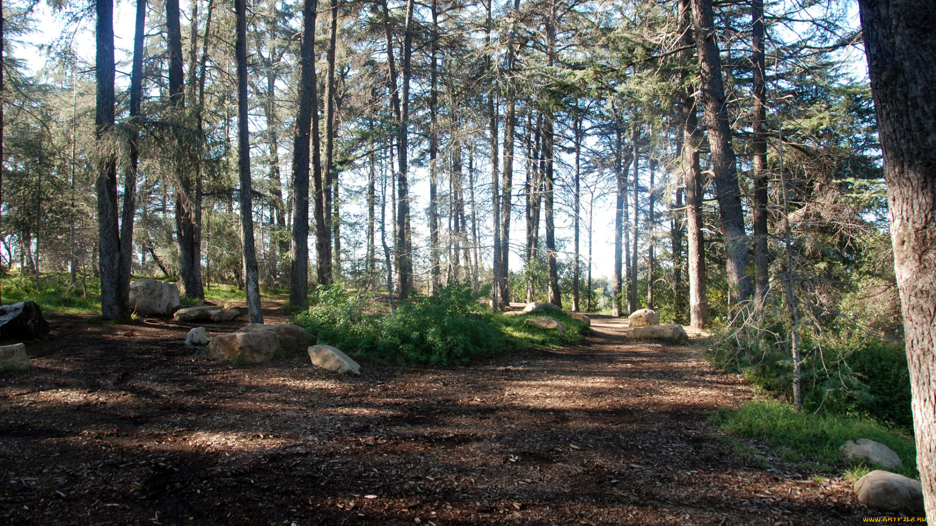 природа, дороги, тракт