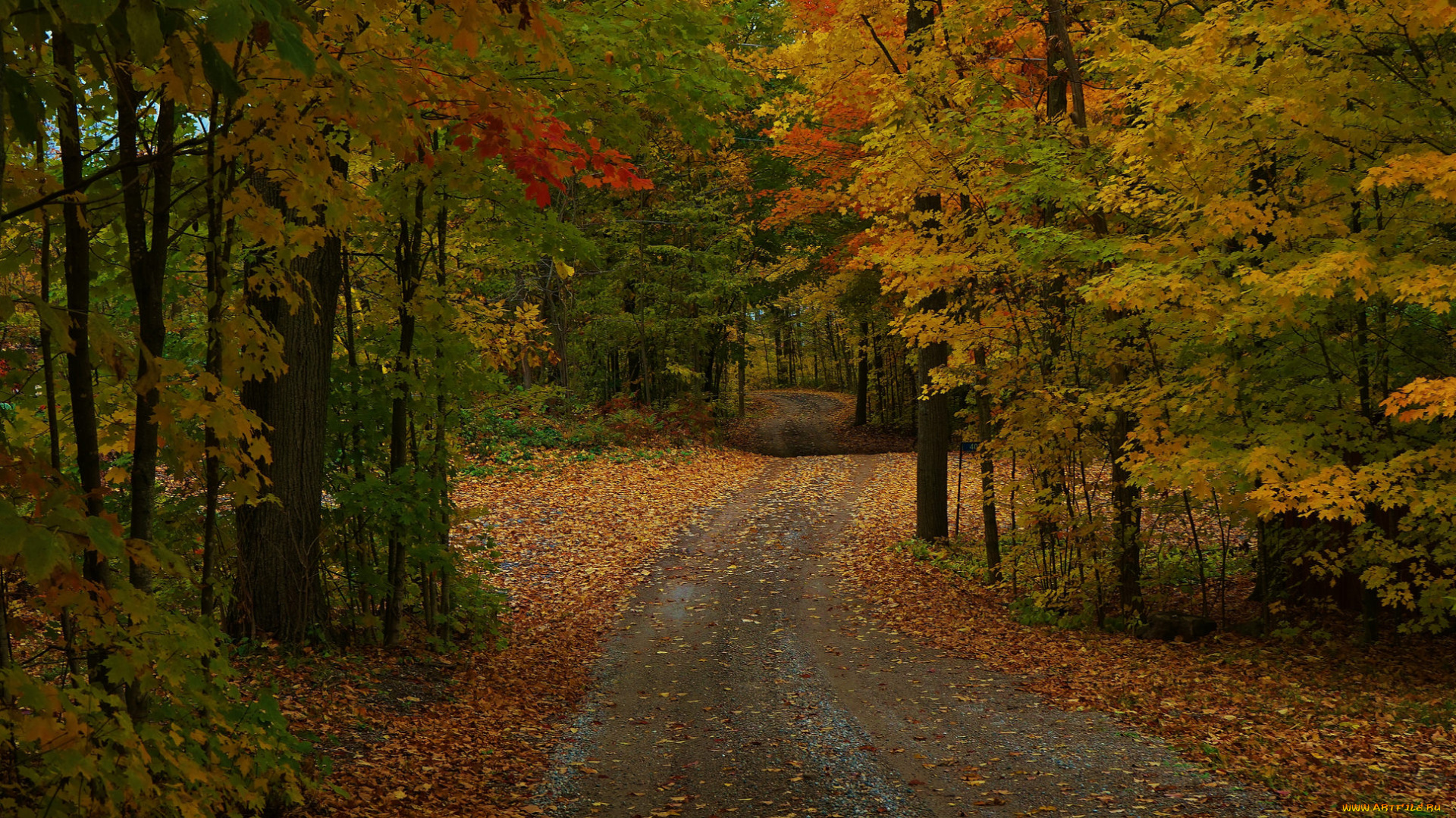 природа, дороги, тракт