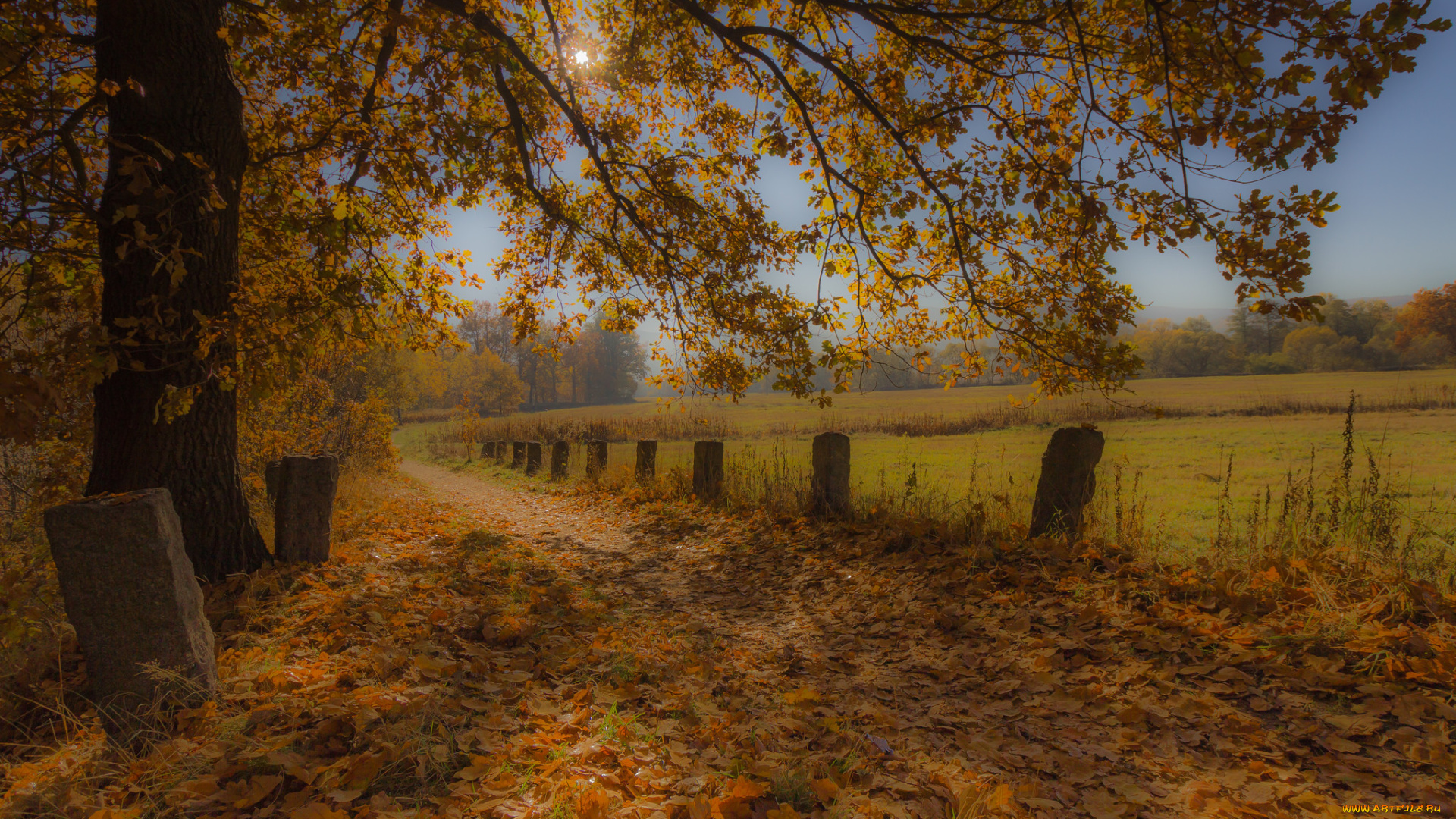 природа, дороги, тракт