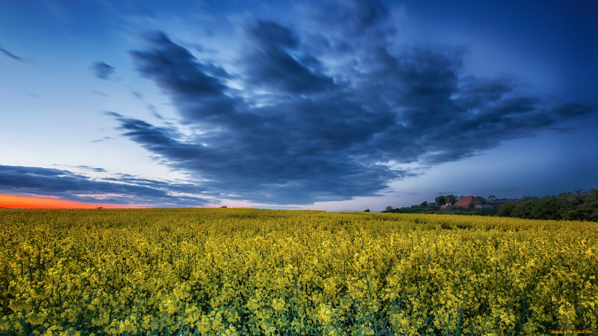 природа, поля, простор