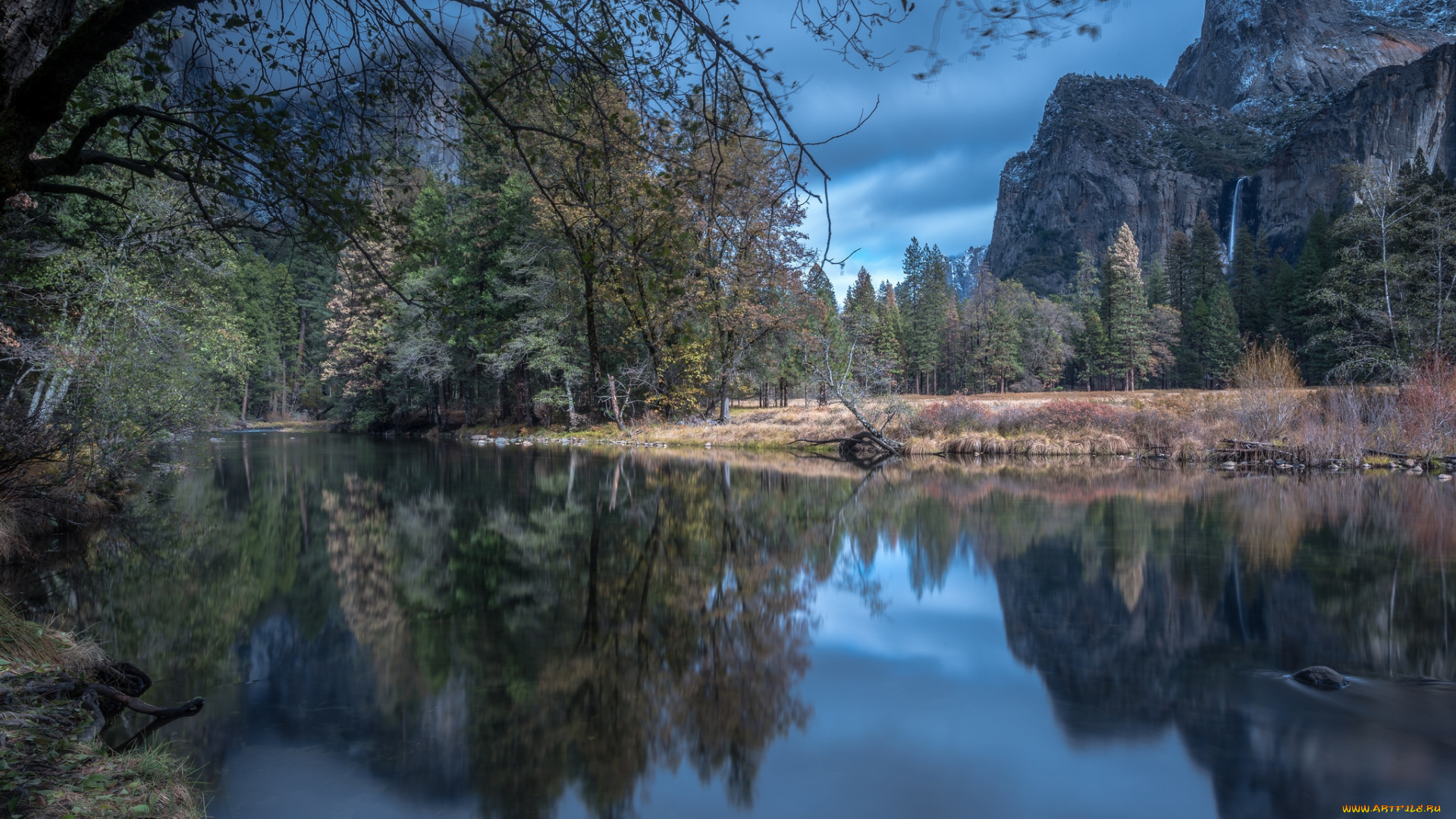 природа, реки, озера, лес, река