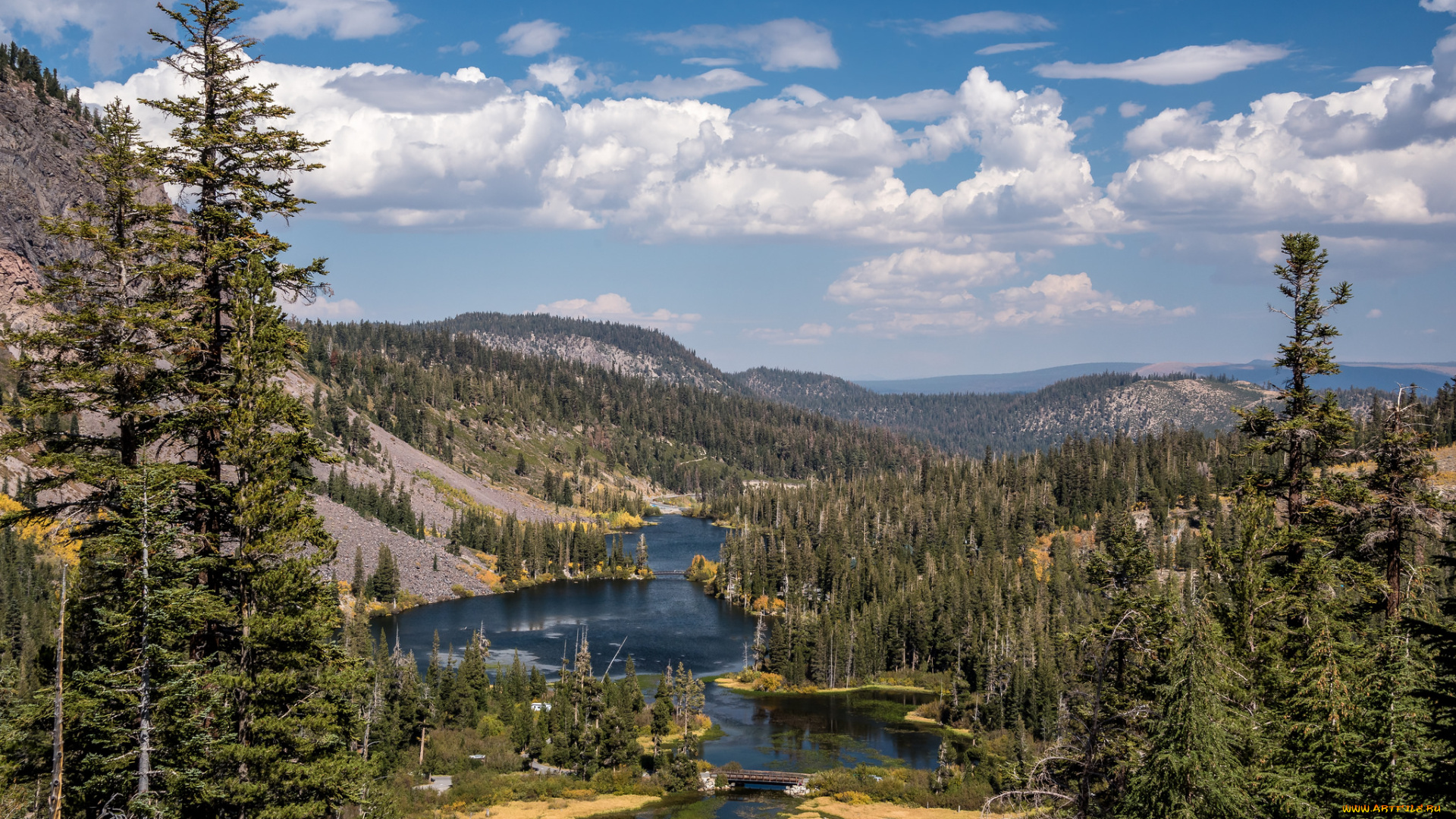 природа, реки, озера, лес, река