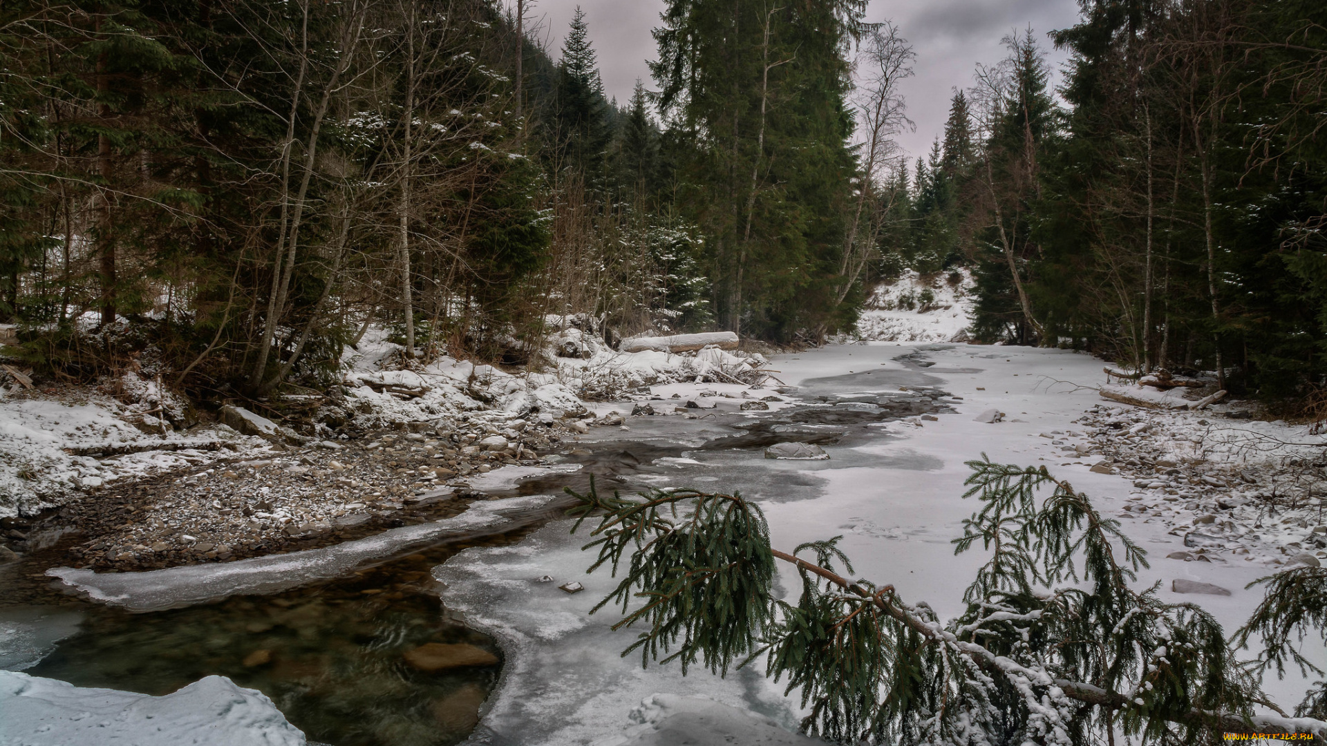 природа, реки, озера, река, лес
