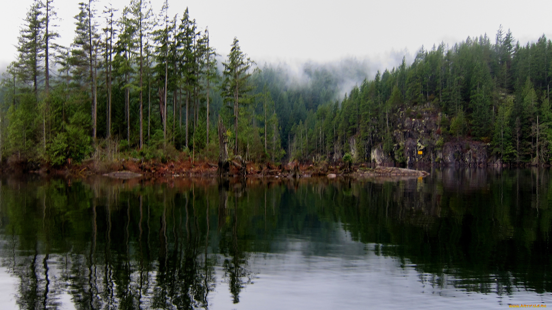 природа, реки, озера, река, лес