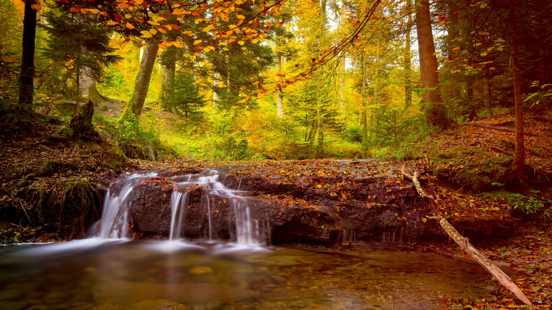 природа, водопады, водопад, река, лес