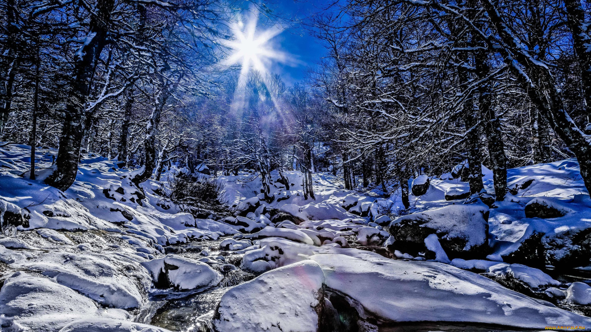 природа, зима, снег