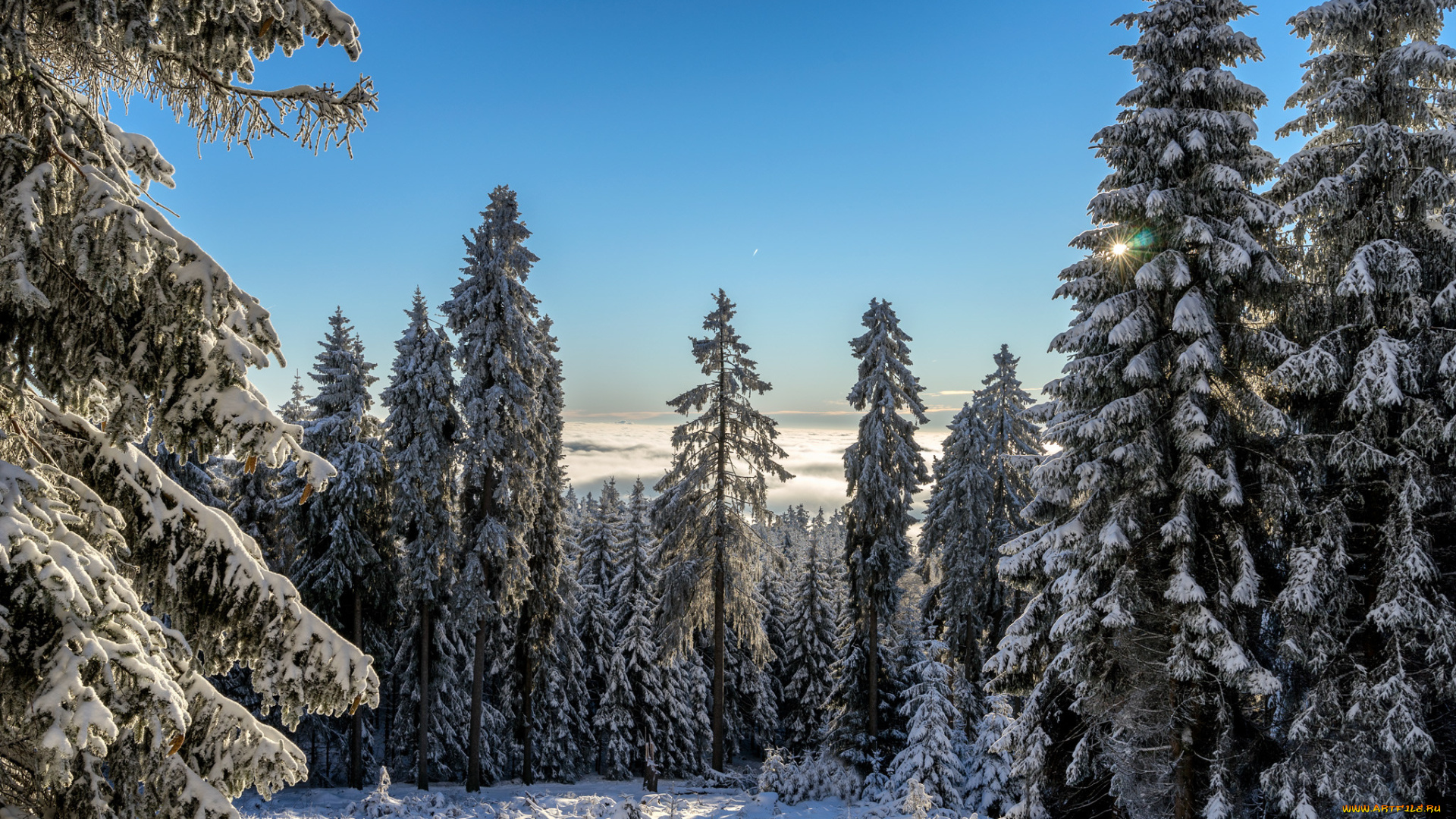 природа, зима, снег