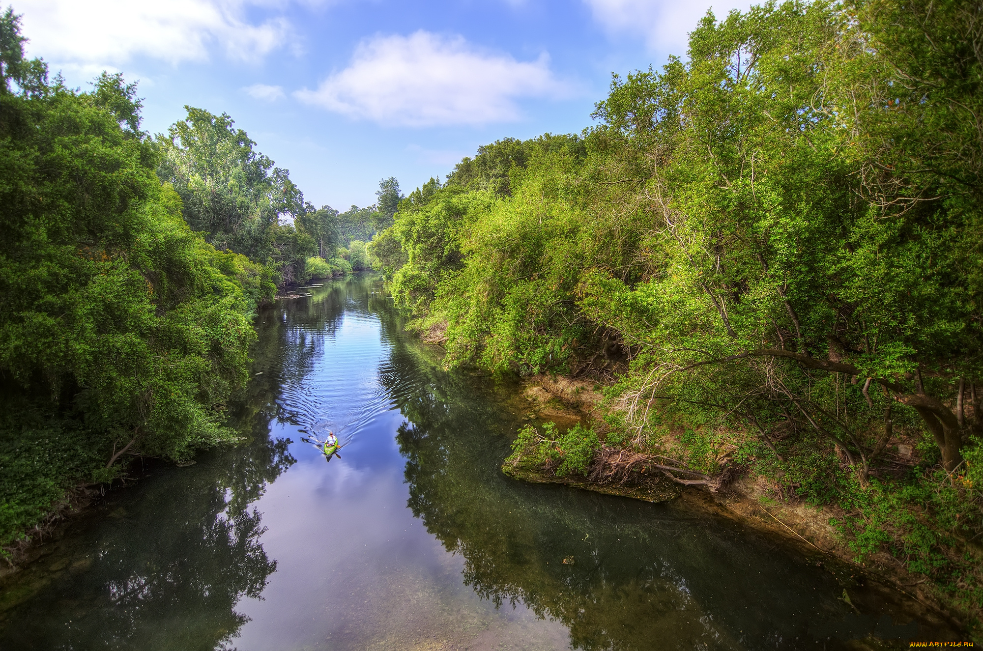 природа, реки, озера, лес, река