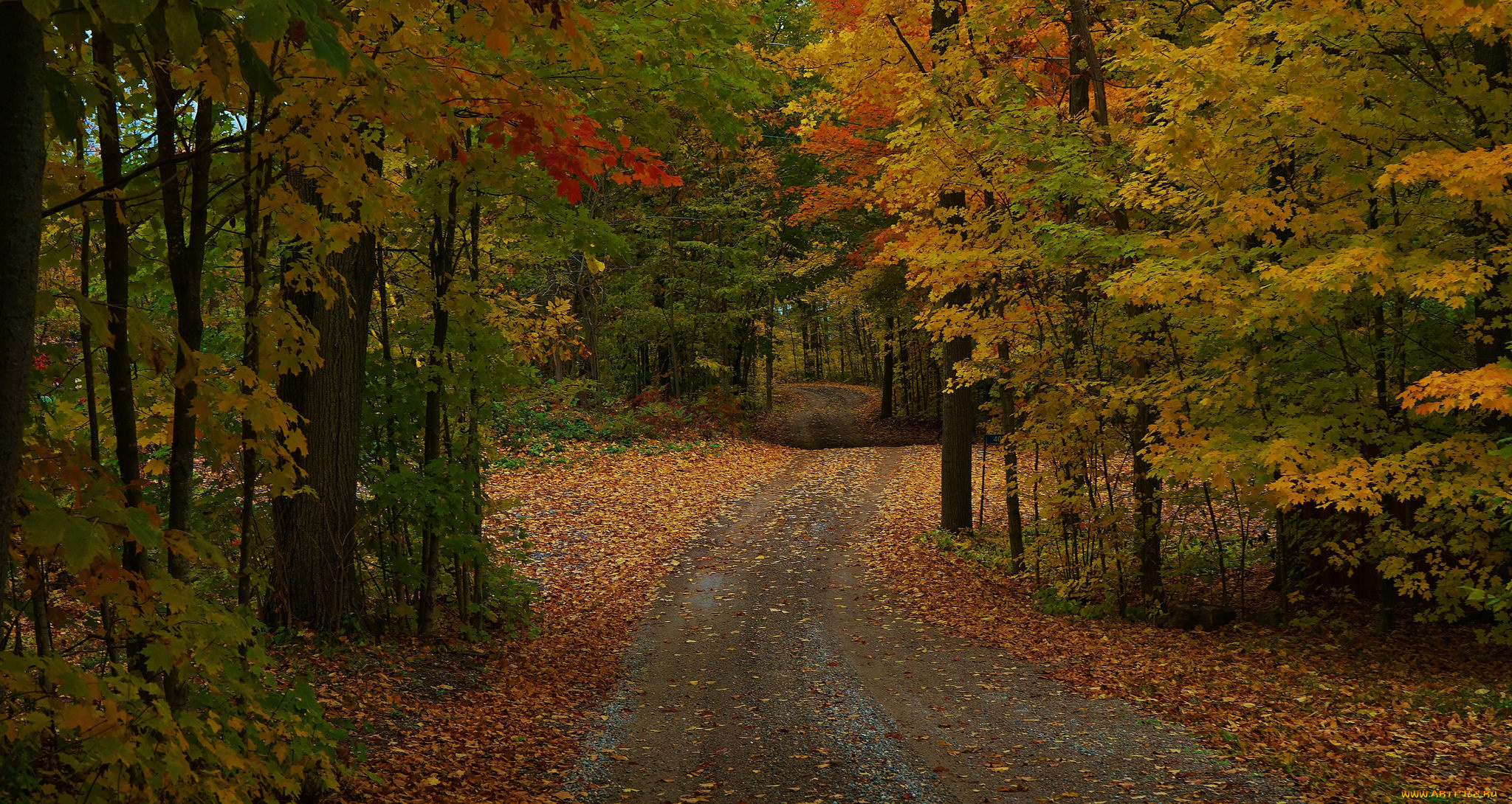 природа, дороги, тракт
