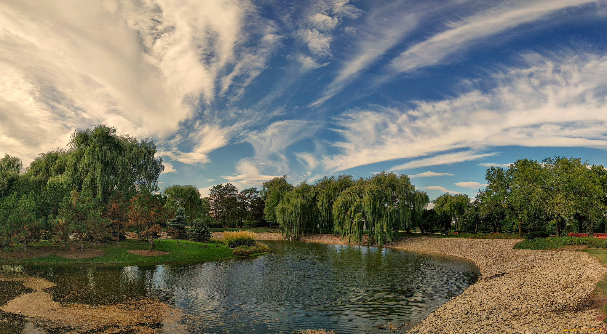 природа, реки, озера, лес, река