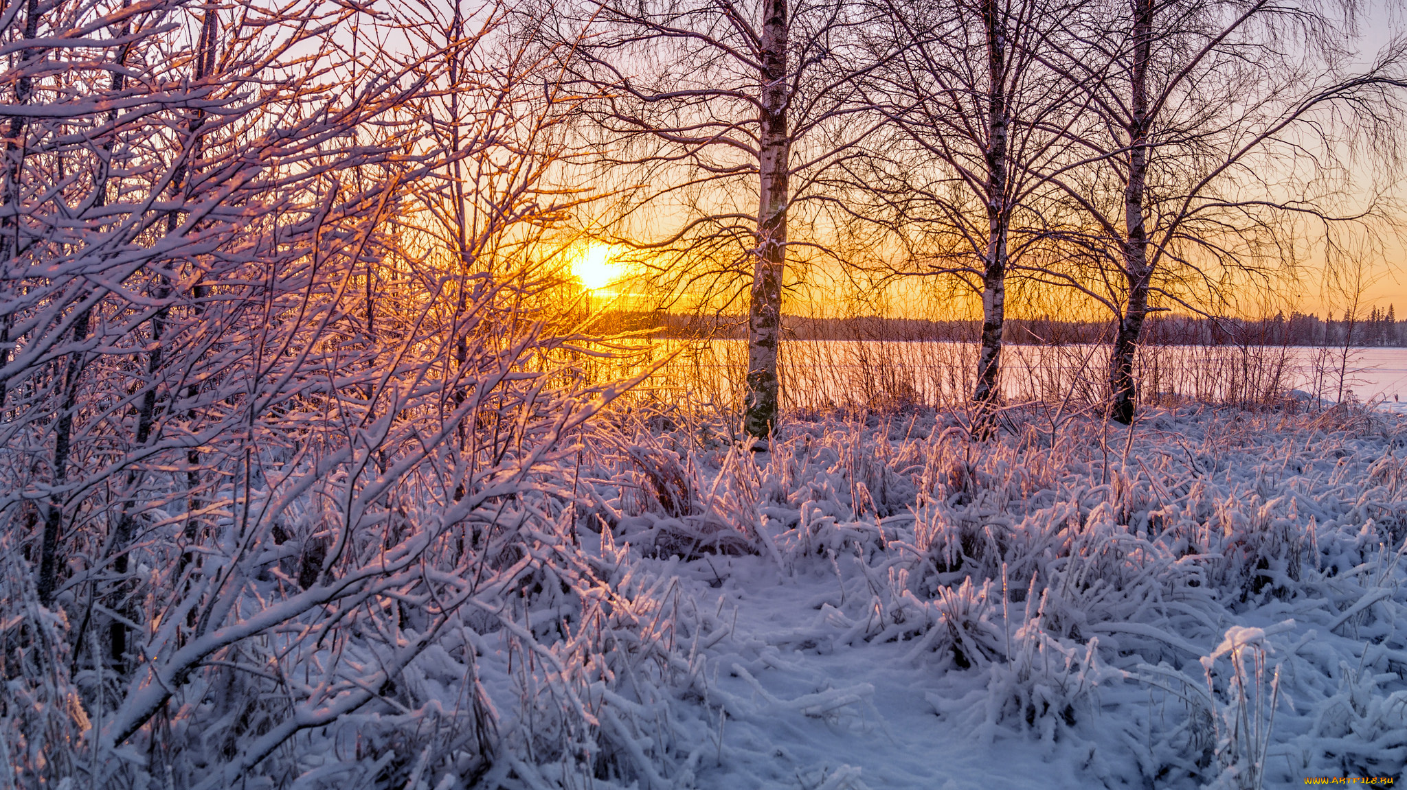 природа, зима, снег