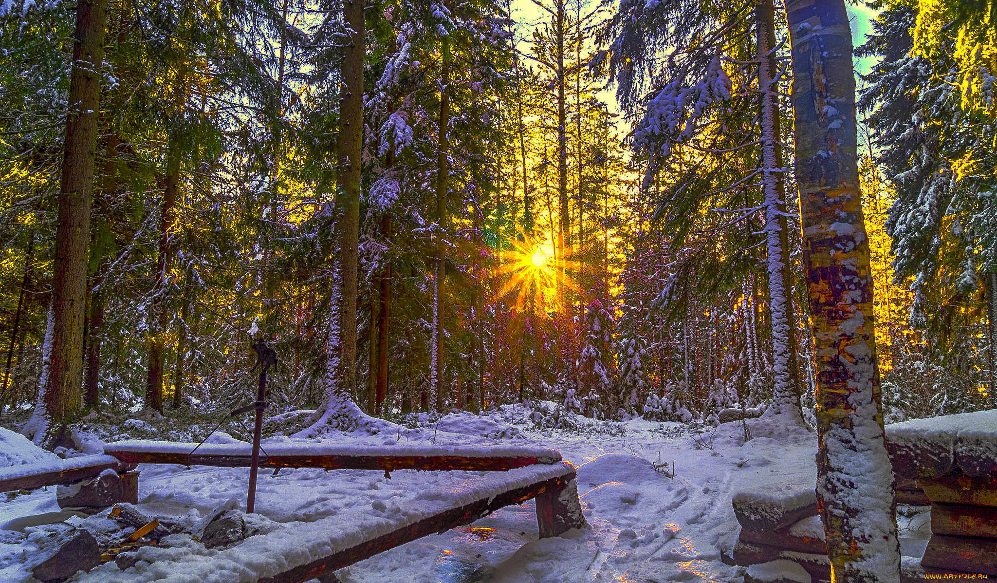 природа, зима, снег