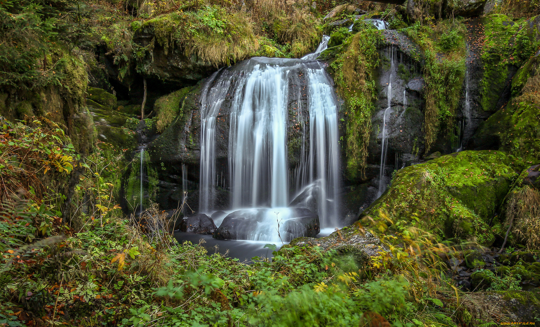 природа, водопады, водопад, лес, река