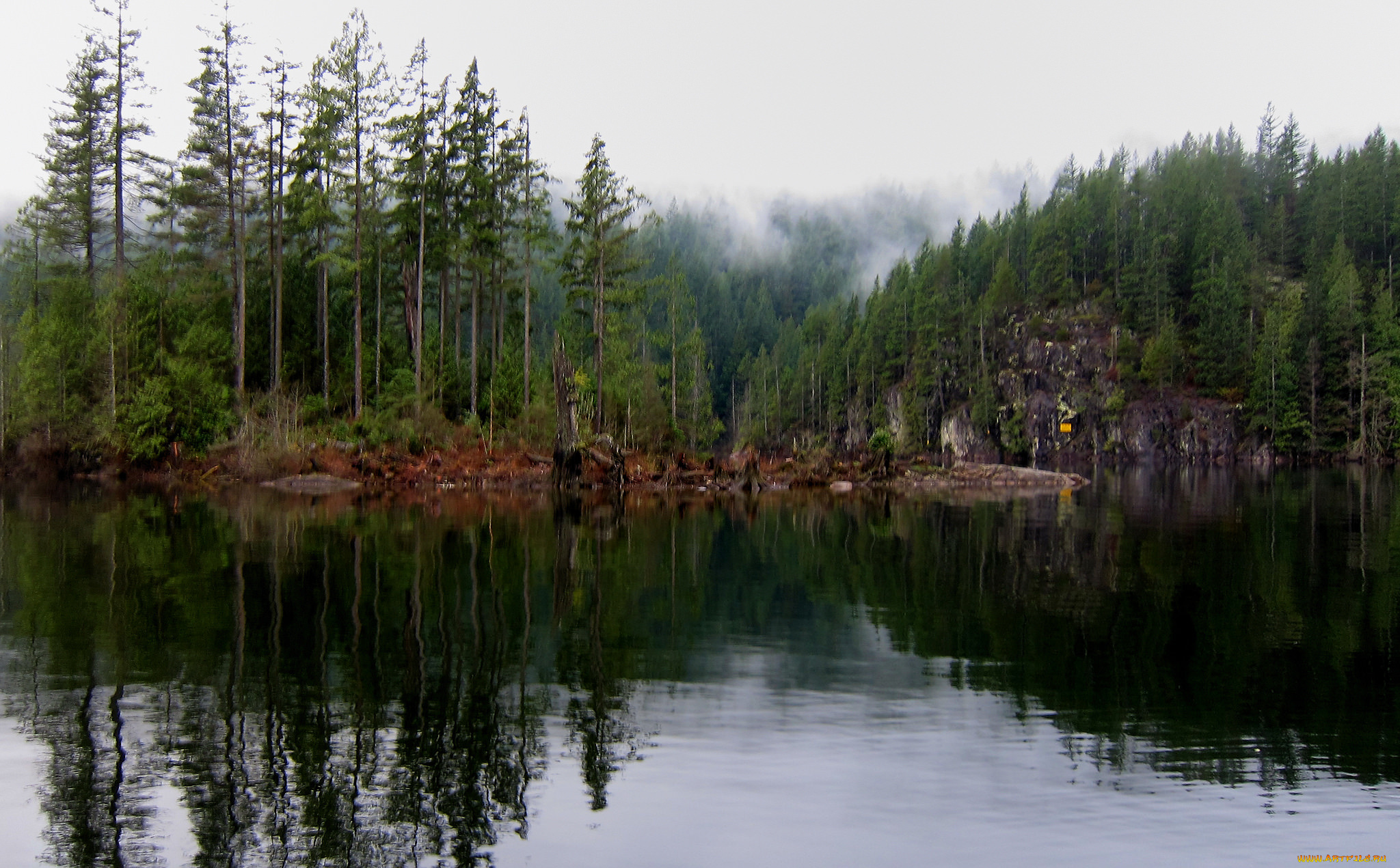 природа, реки, озера, река, лес