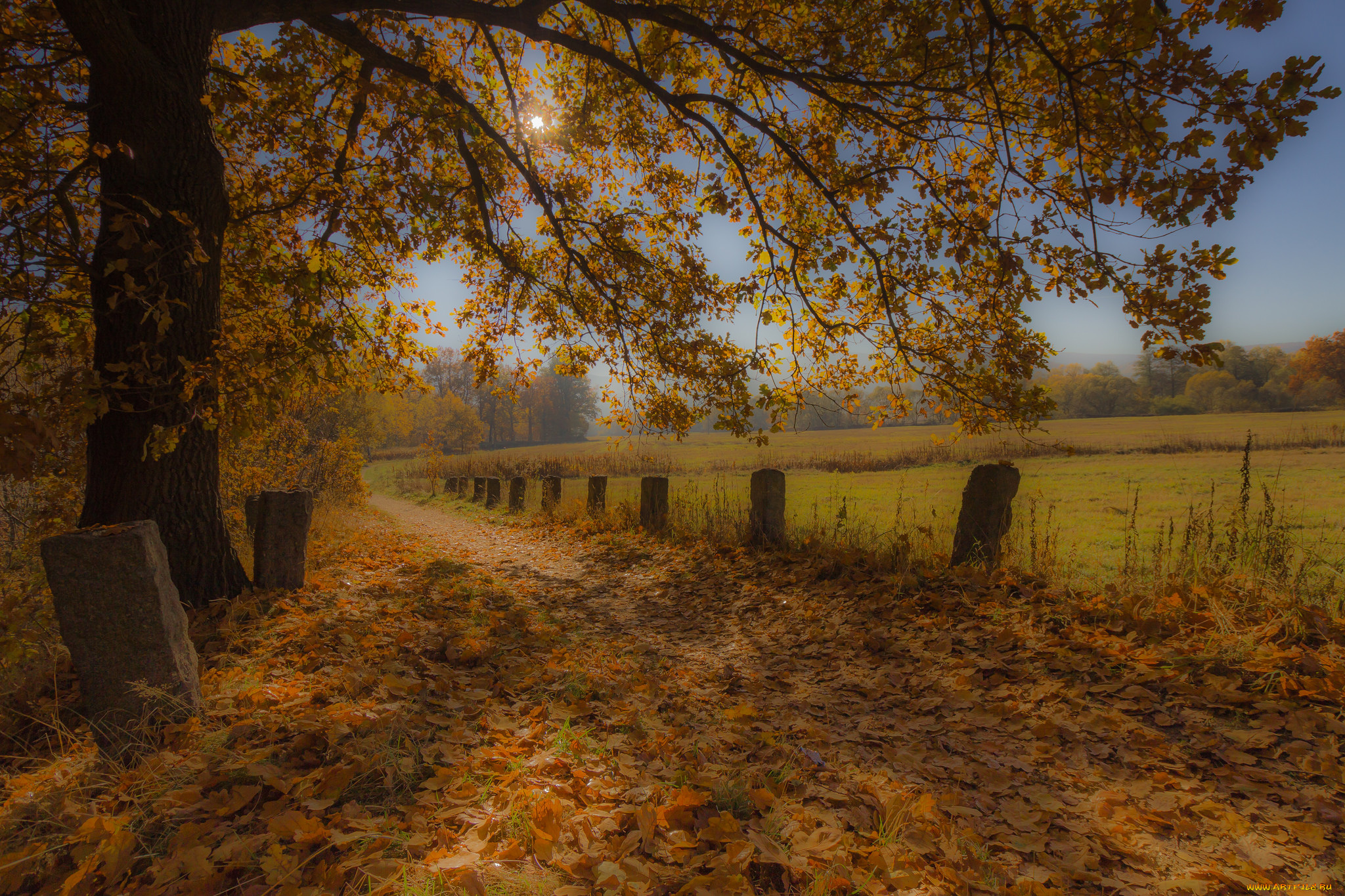 природа, дороги, тракт