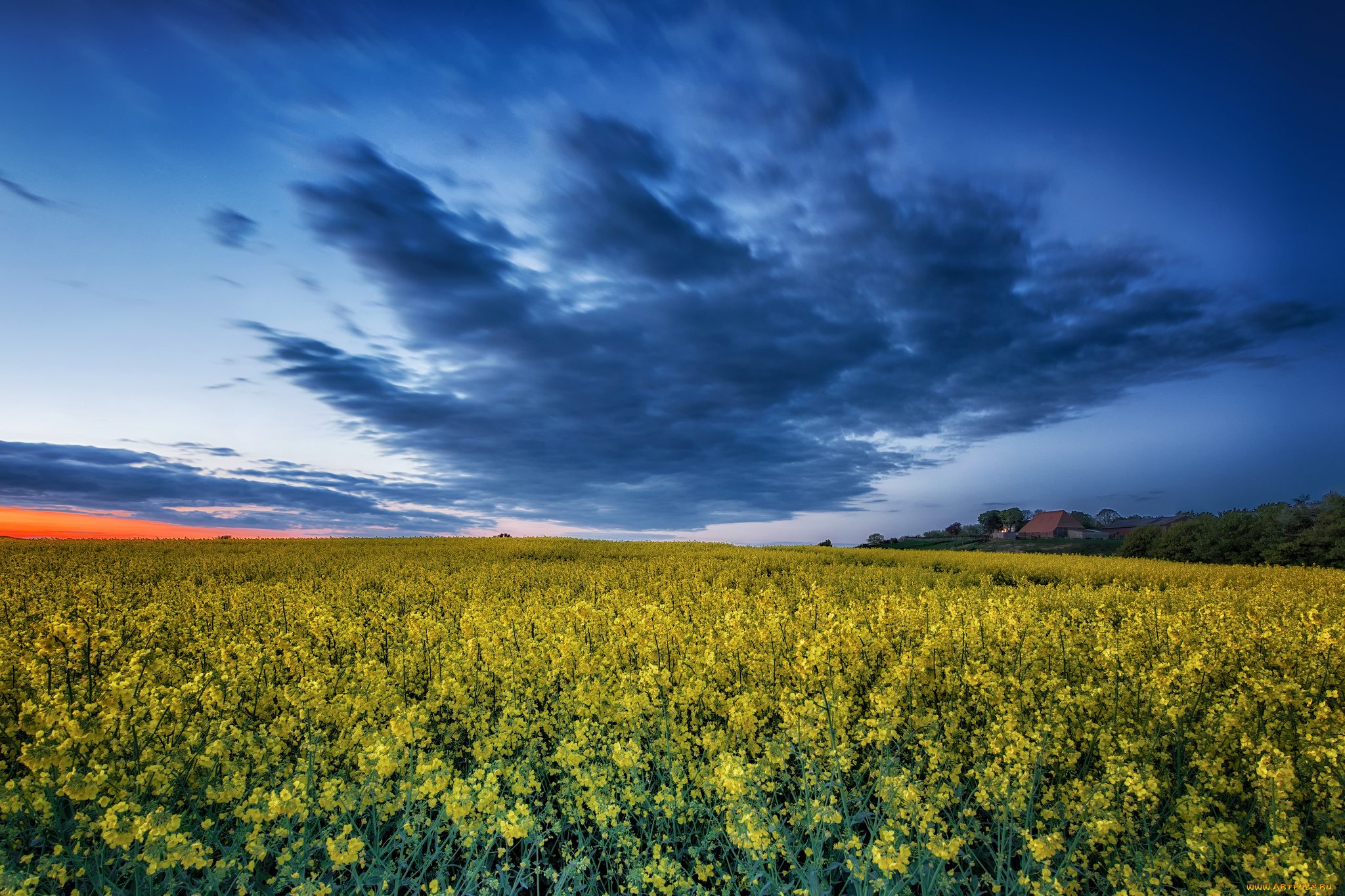 природа, поля, простор