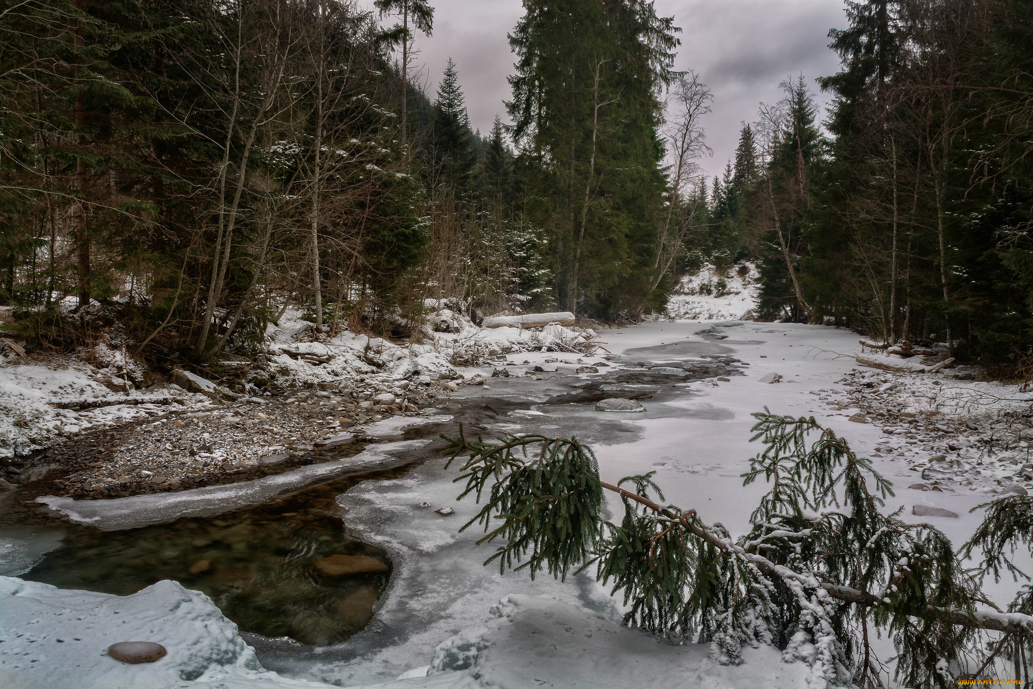 природа, реки, озера, река, лес