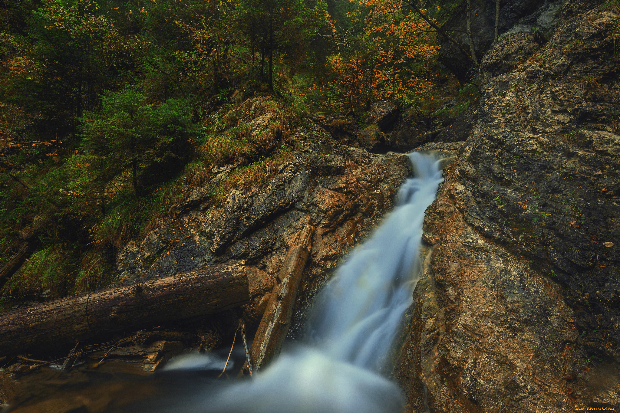 природа, водопады, лес, река, водопад