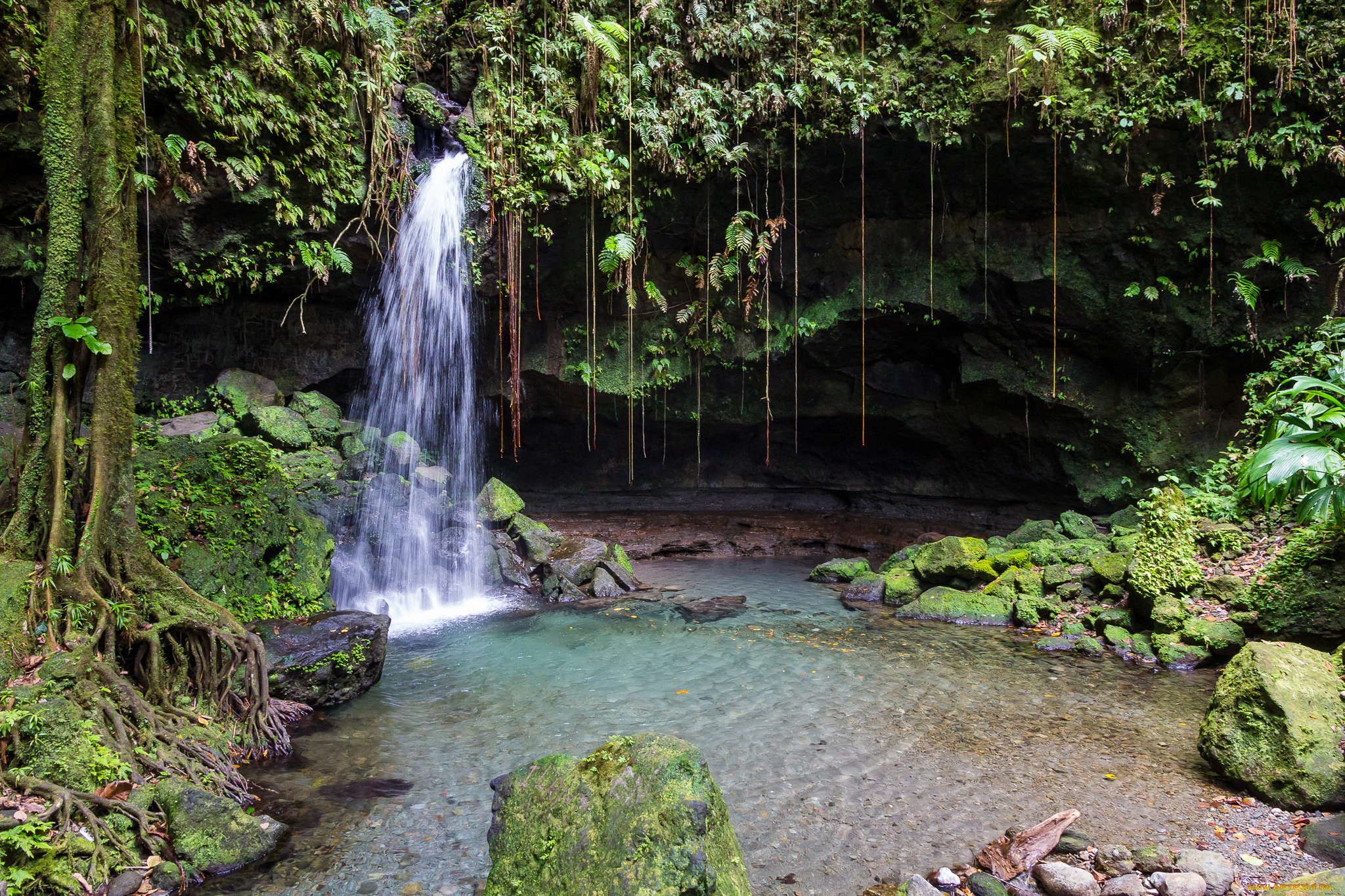 природа, водопады, лес, река, водопад