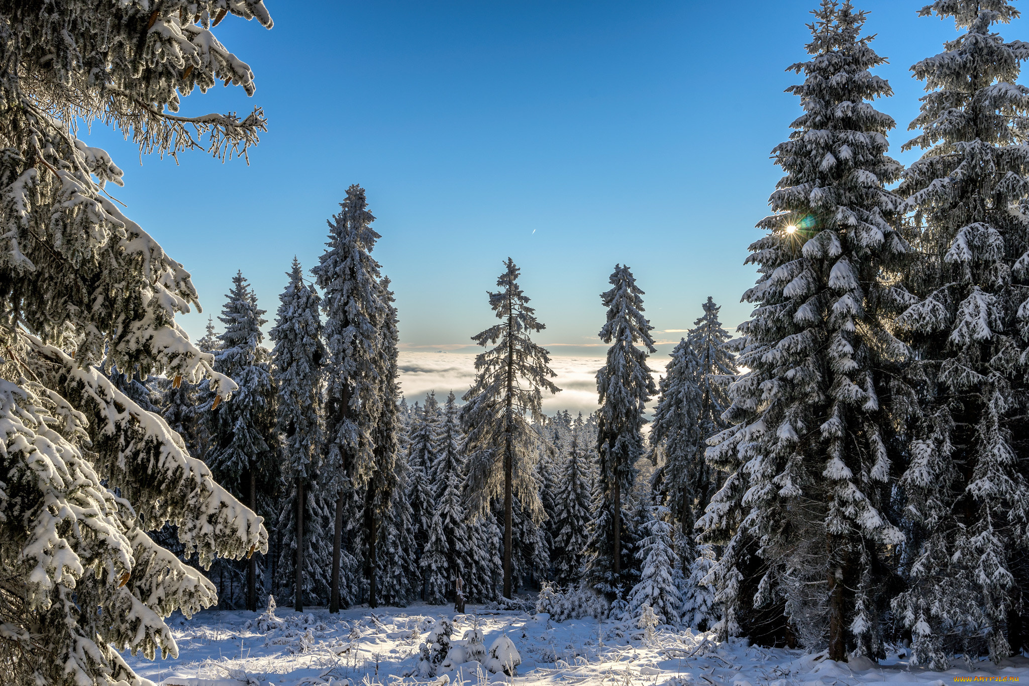 природа, зима, снег