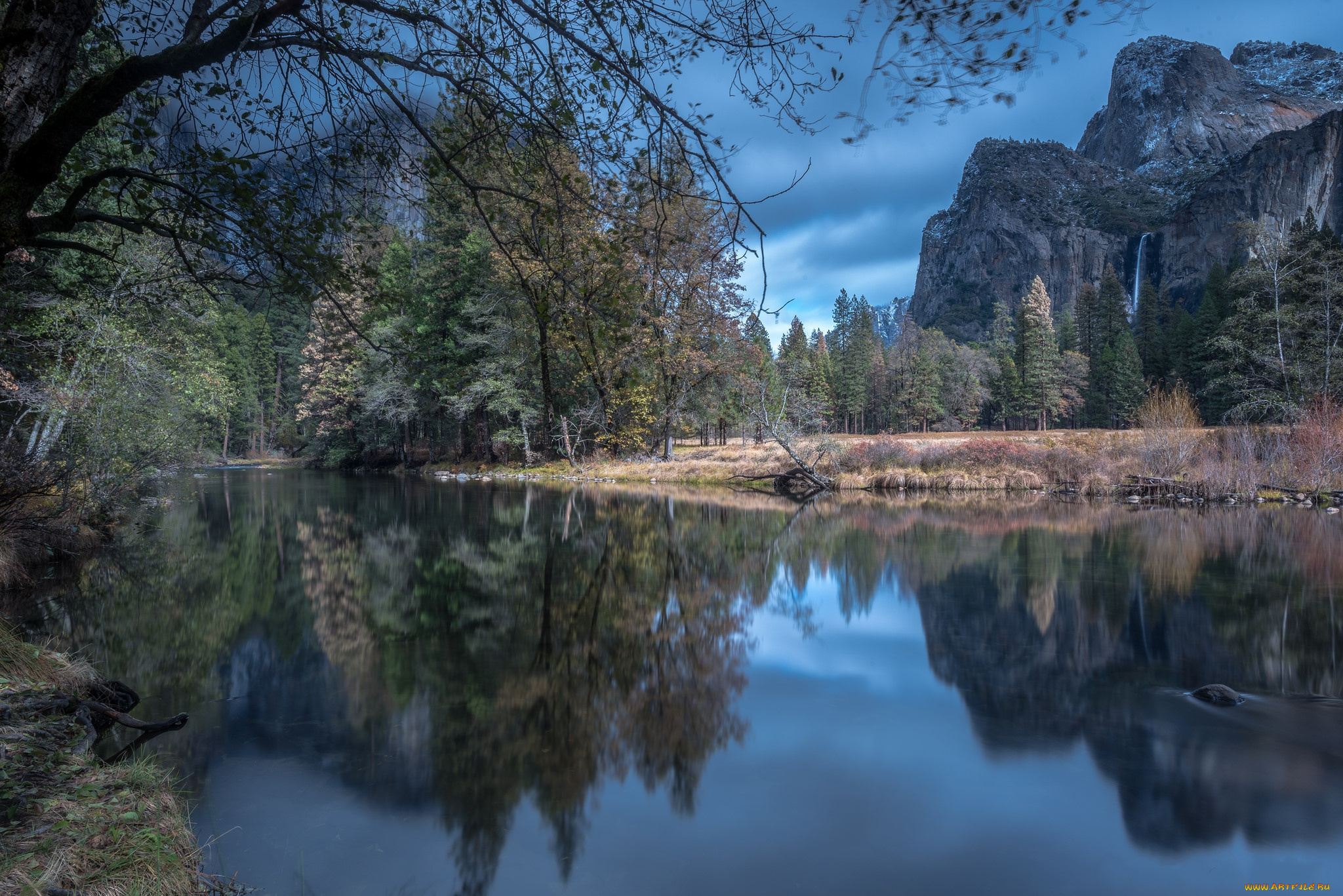 природа, реки, озера, лес, река