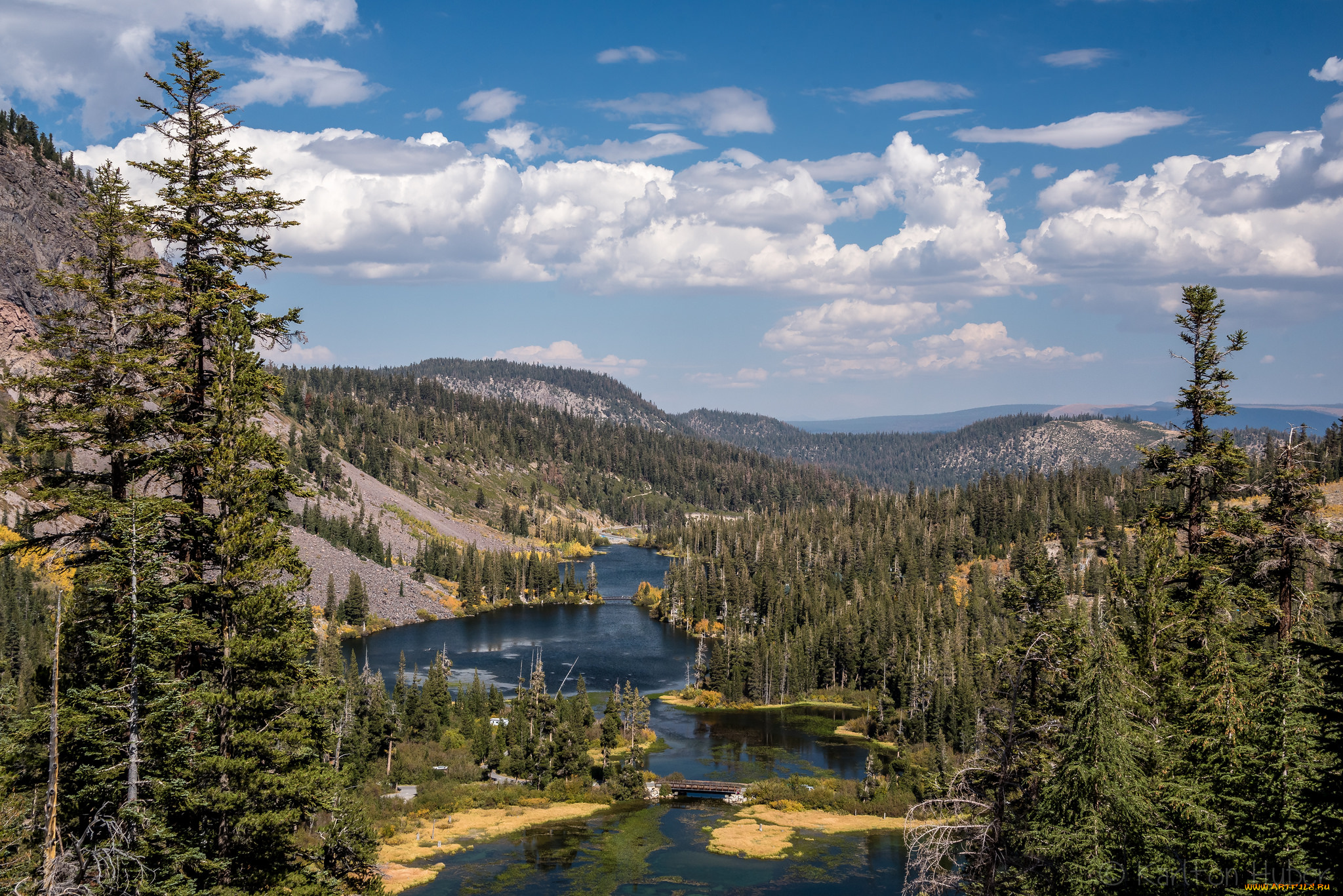 природа, реки, озера, лес, река