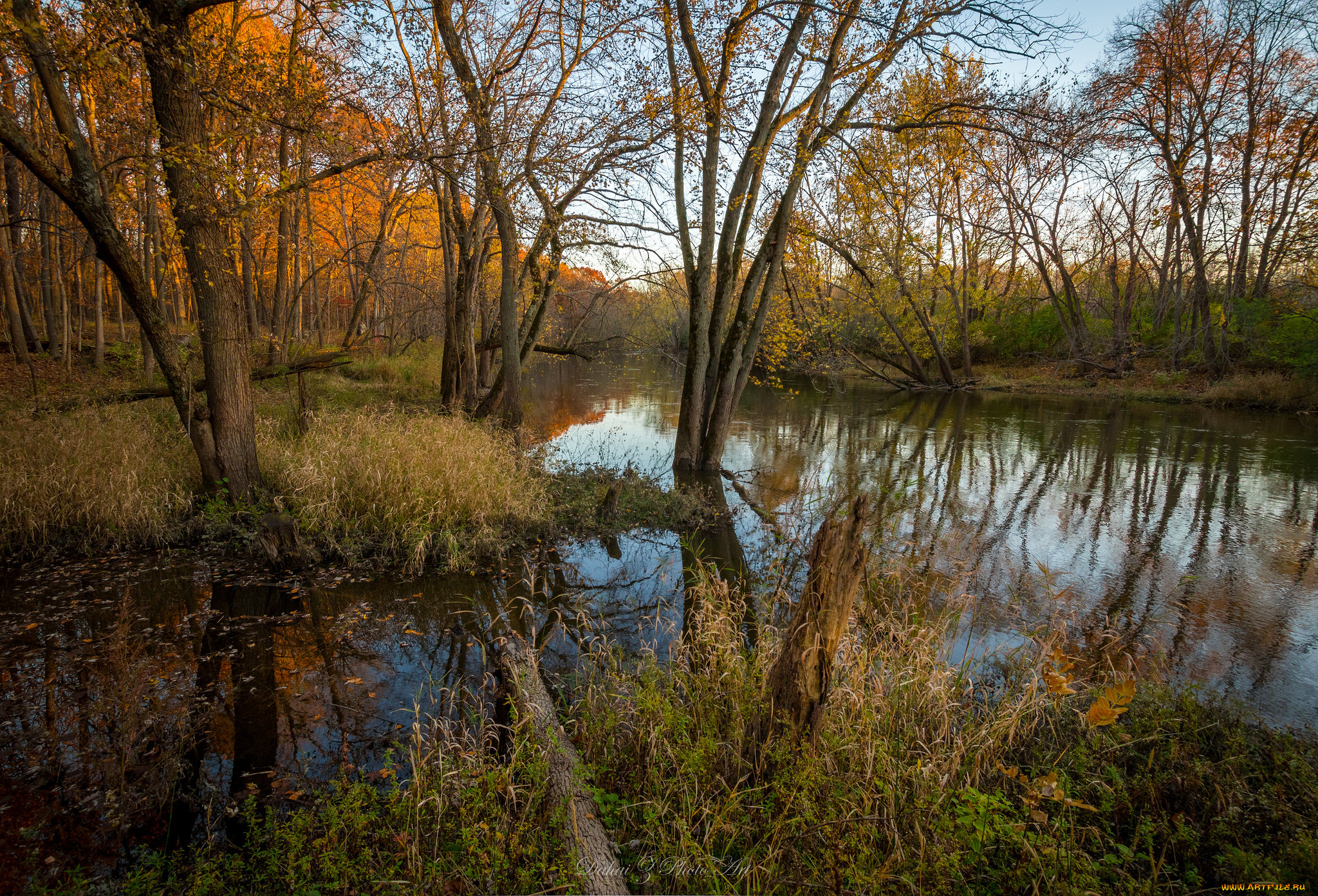 природа, реки, озера, река, лес