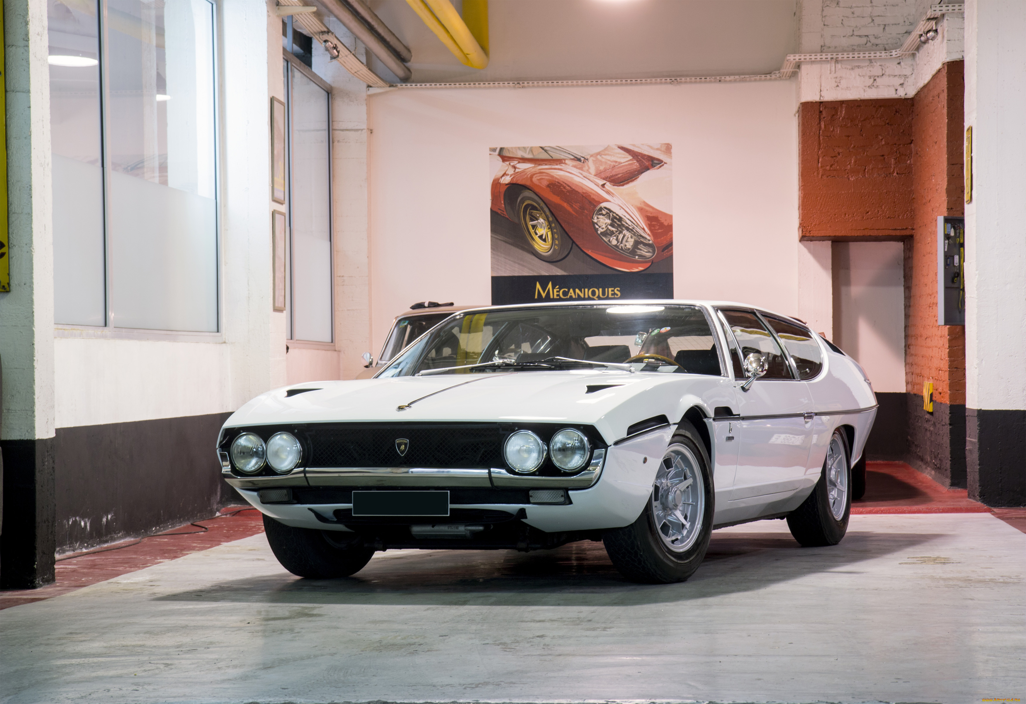 автомобили, lamborghini