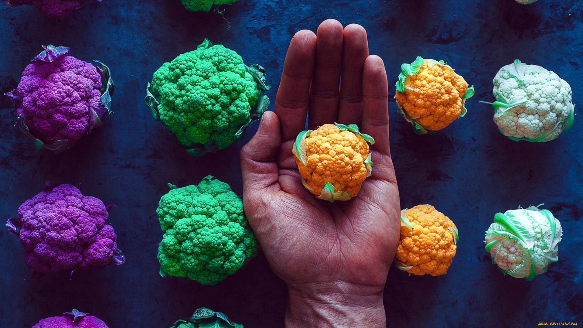 еда, капуста, и, её, разновидности, кочанчики, капуста, цветная