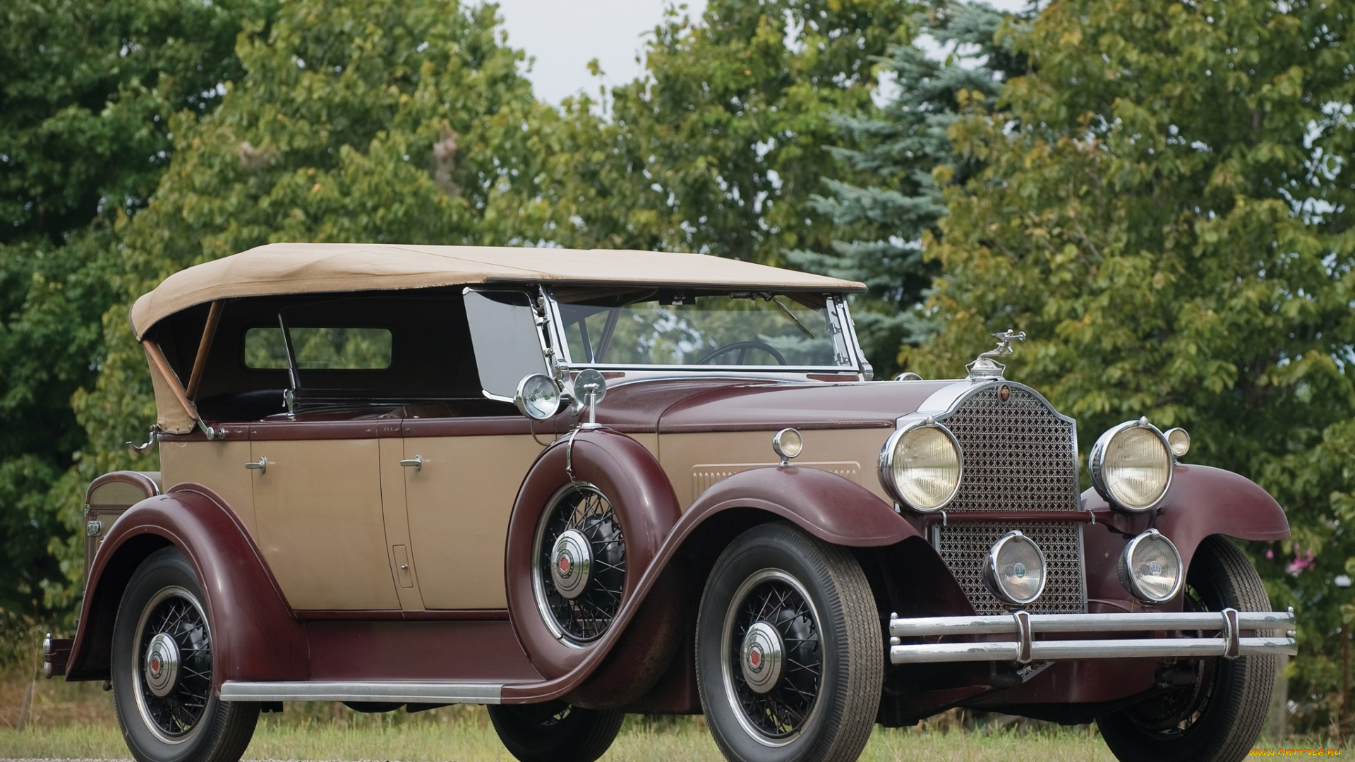 packard, eight, dual, cowl, sport, phaeton, 1931, автомобили, packard, авто