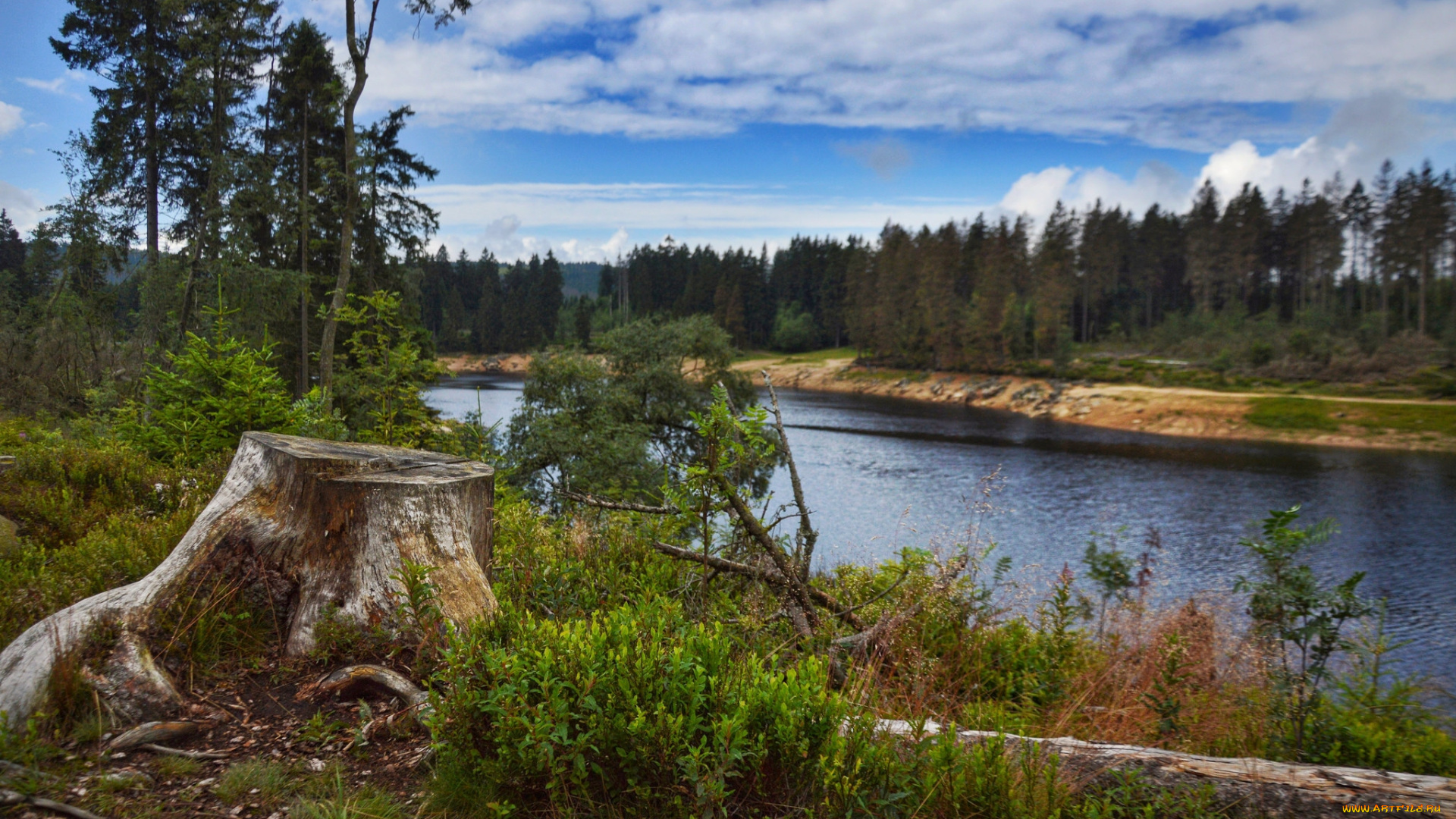 природа, реки, озера, простор