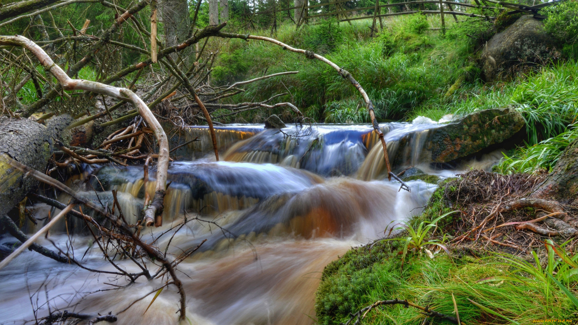 природа, реки, озера, простор