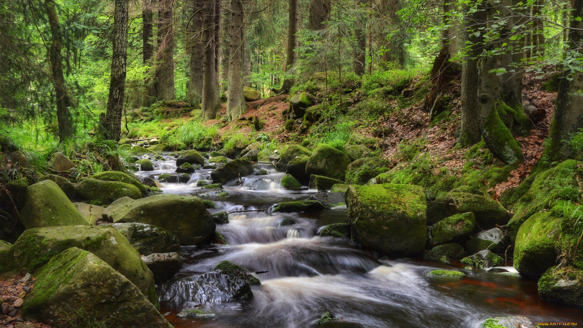 природа, реки, озера, простор