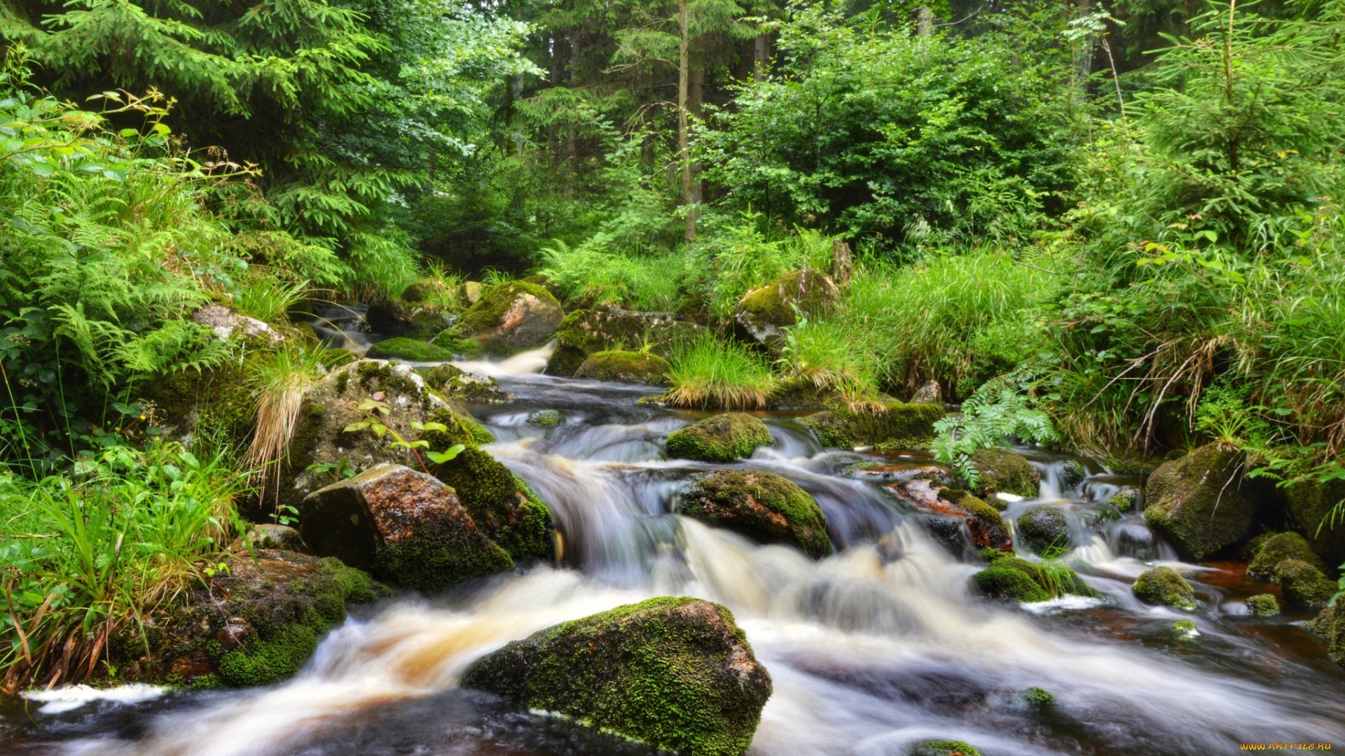 природа, реки, озера, простор