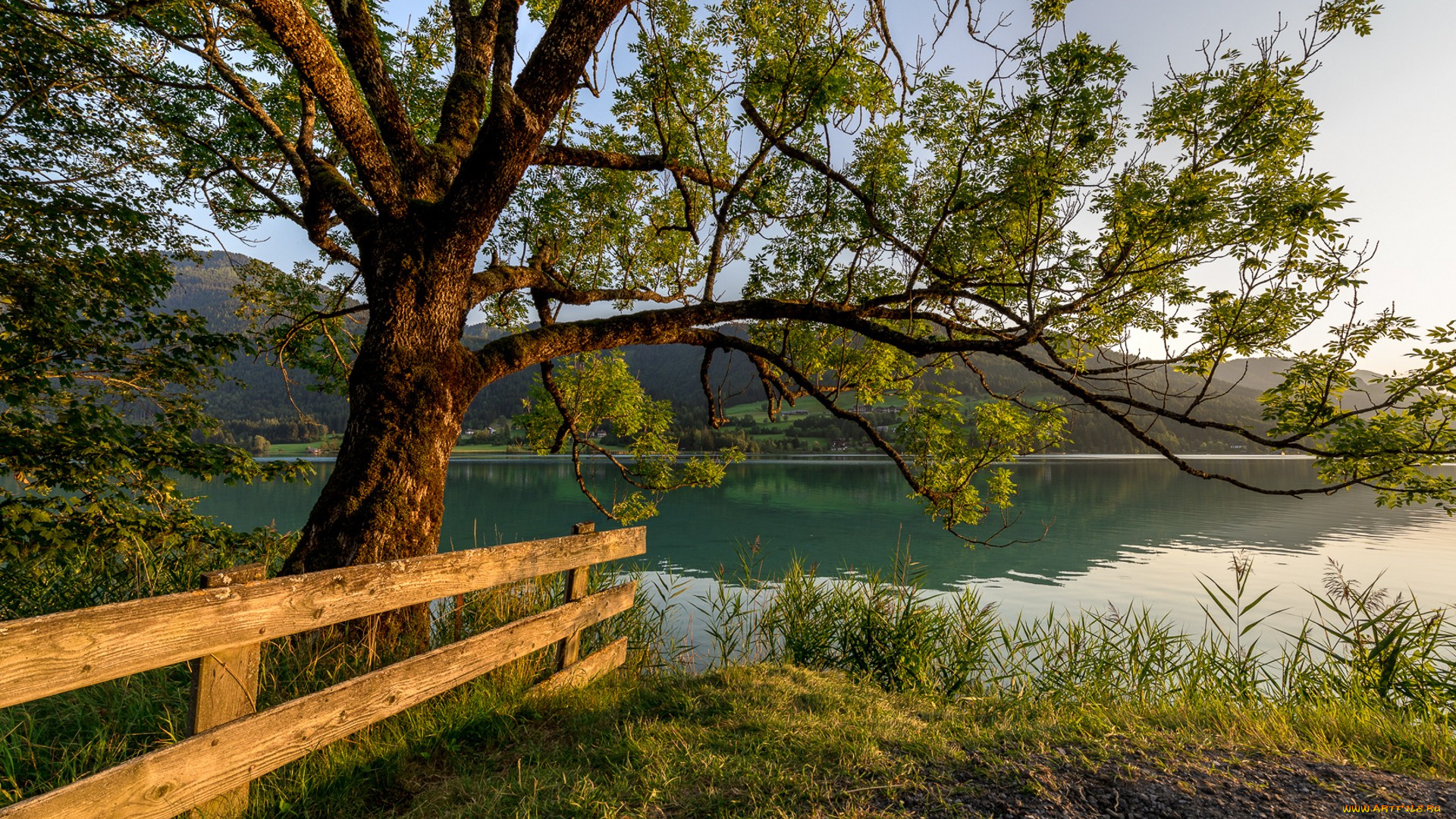 природа, реки, озера, простор